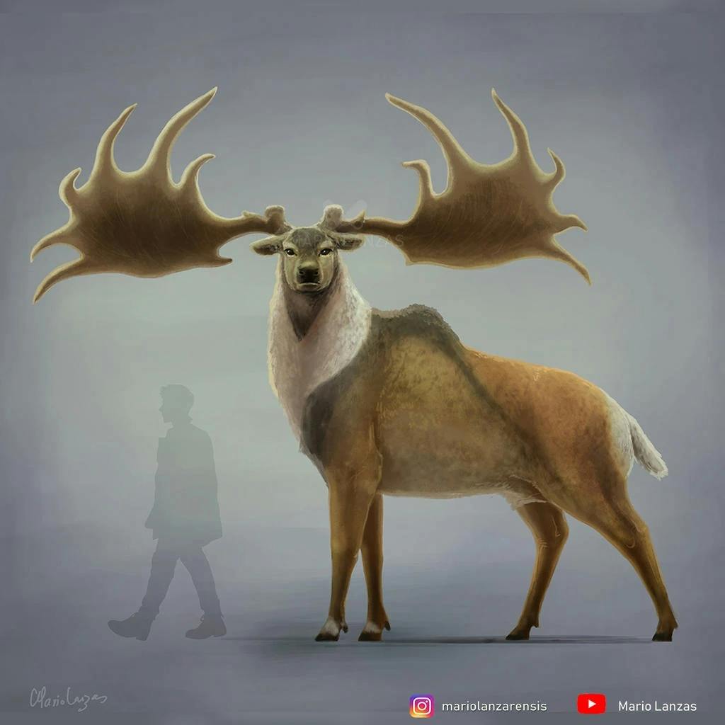 Megaloceros