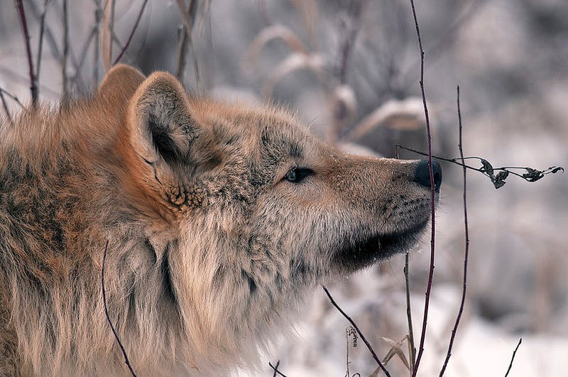 user avatar image for JerryP