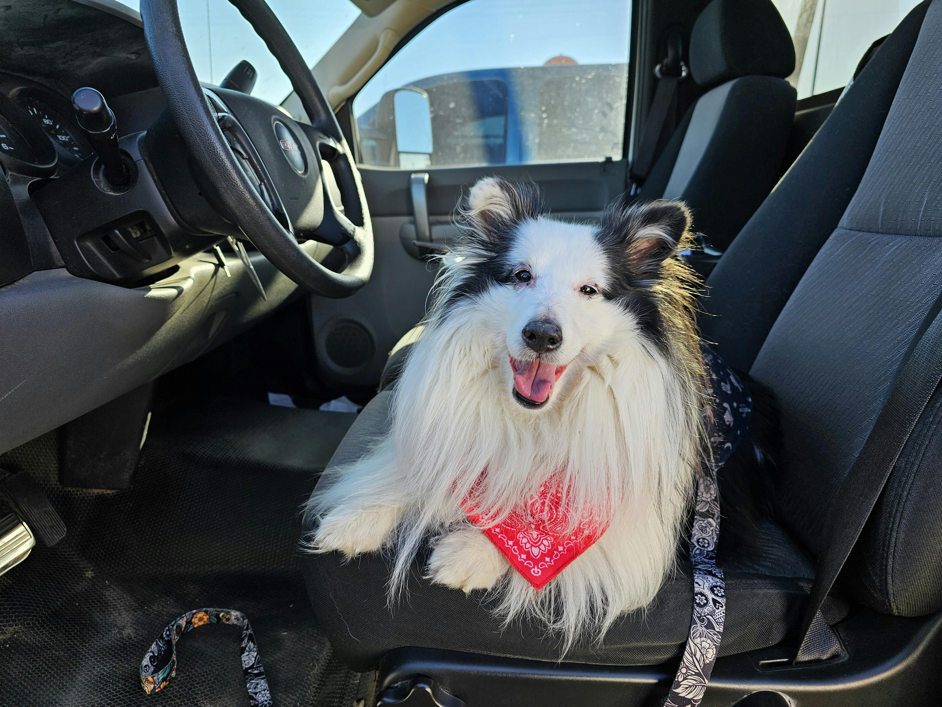 user avatar image for Creatureundertaker