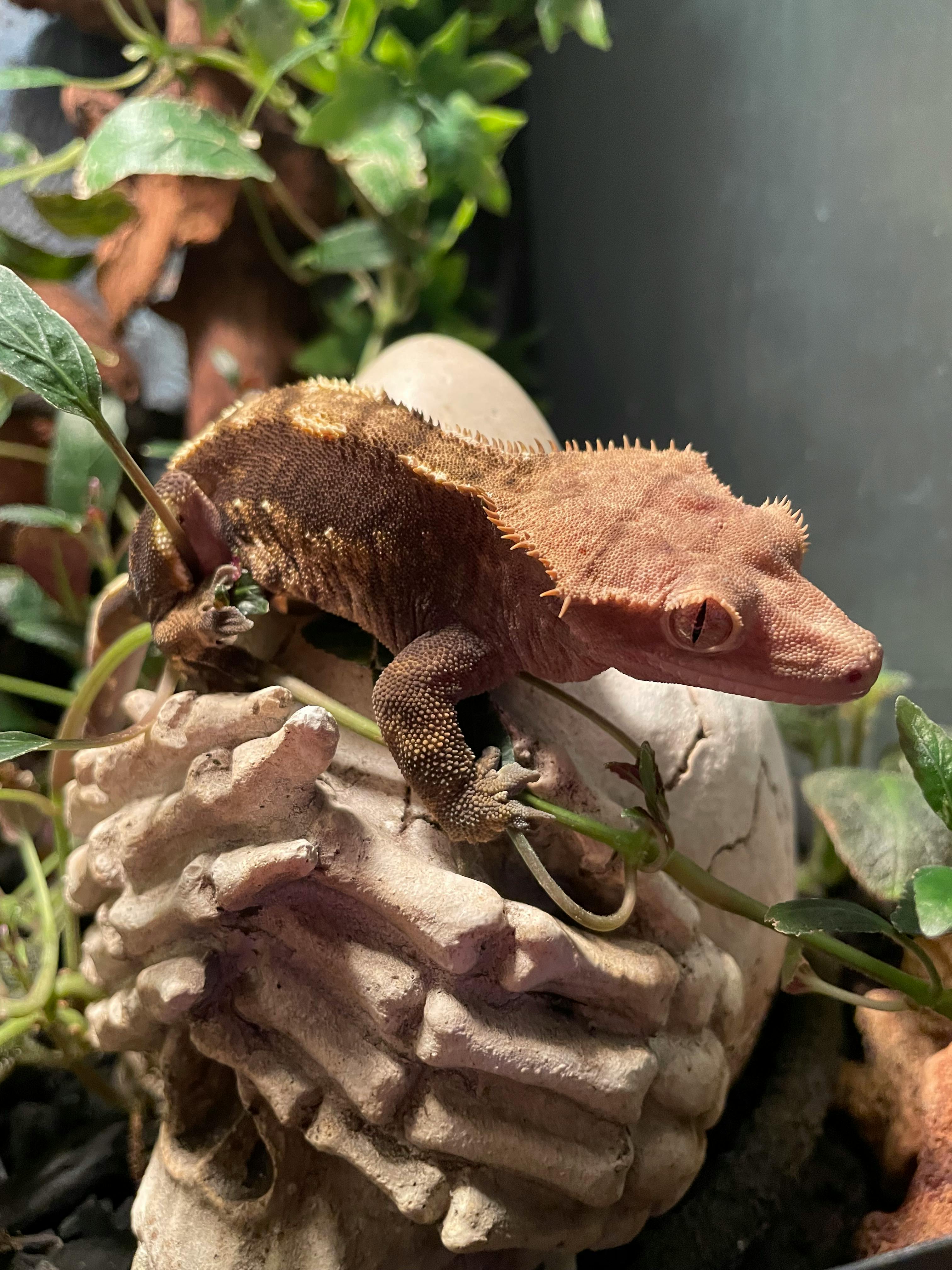 user avatar image for TomOi