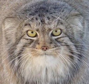 user avatar image for Signaturefish