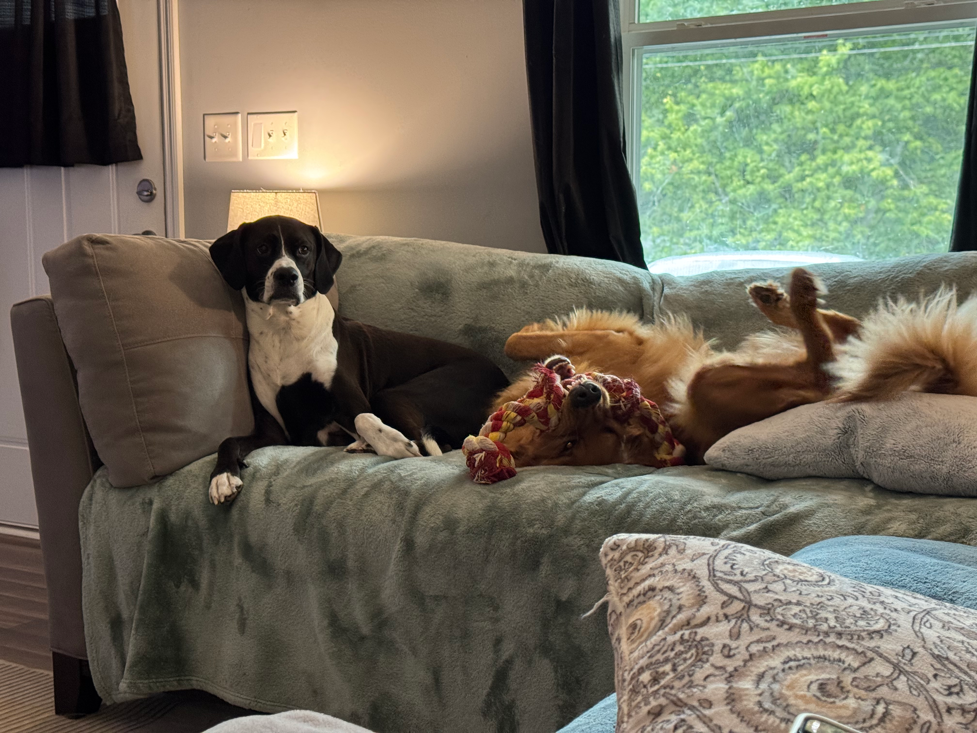 user avatar image for Logan Bayless