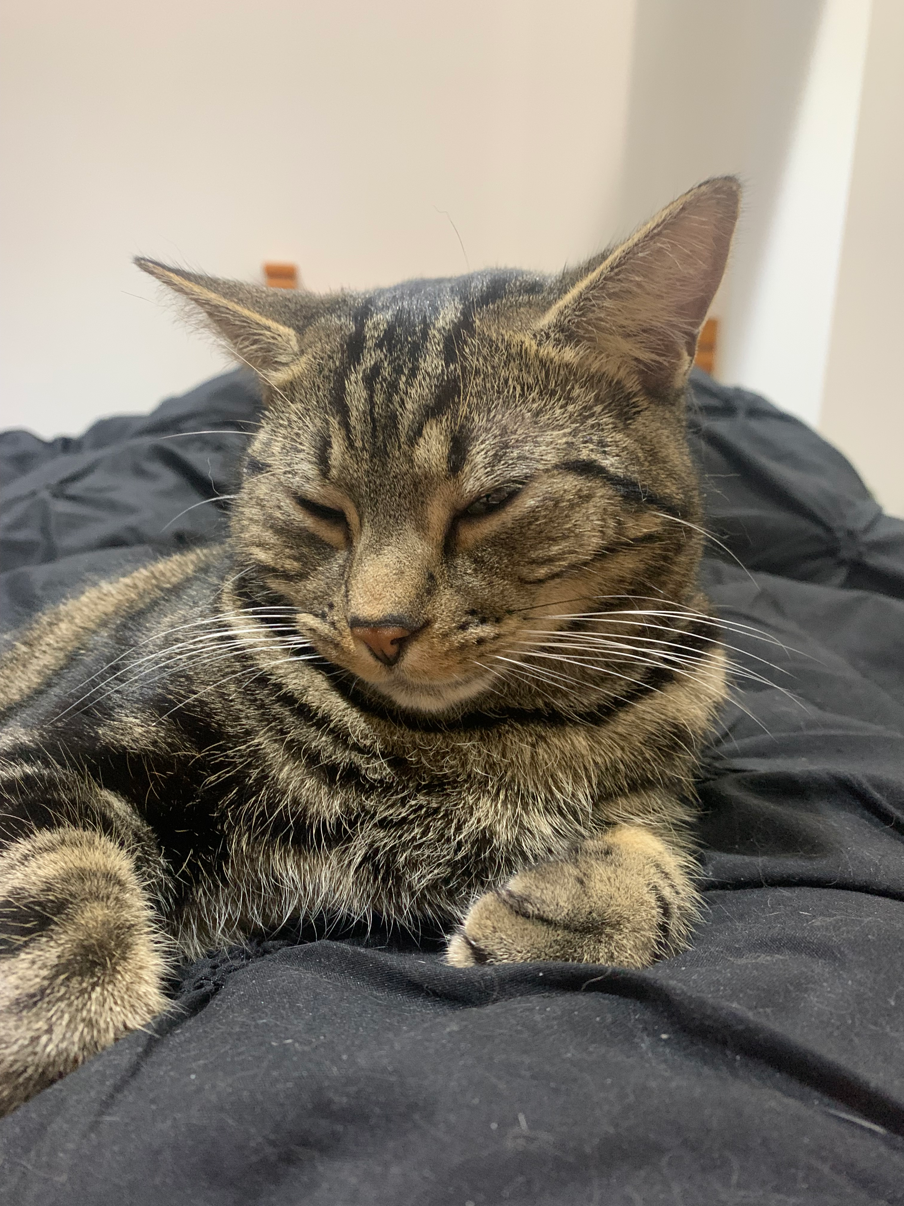 user avatar image for BaileyBean