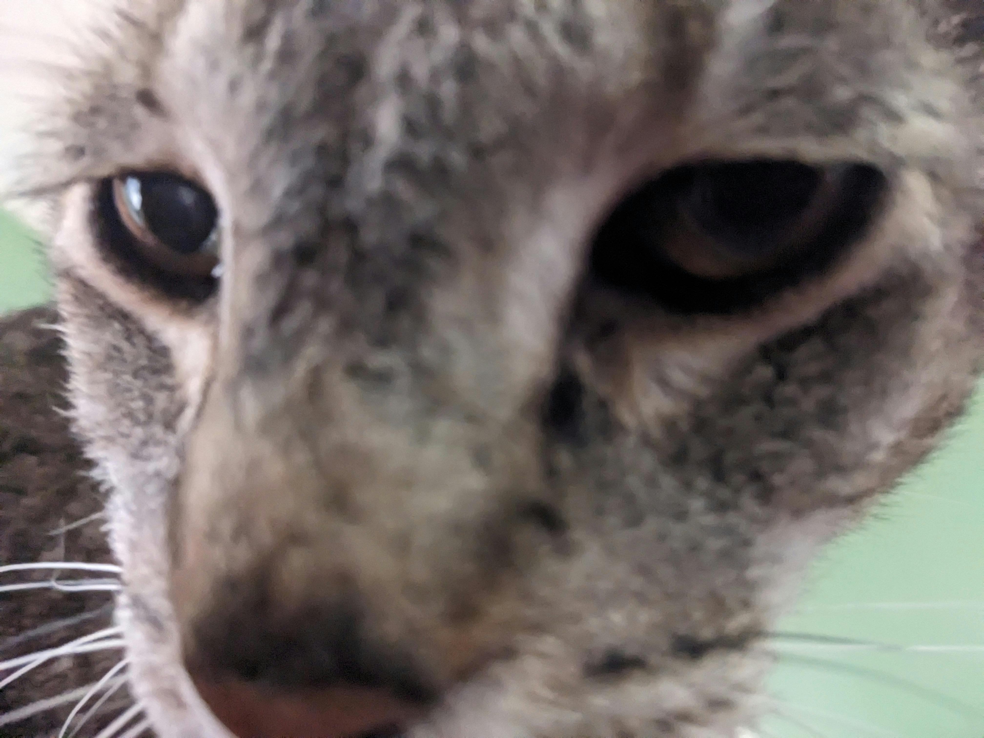 user avatar image for Nhymeon