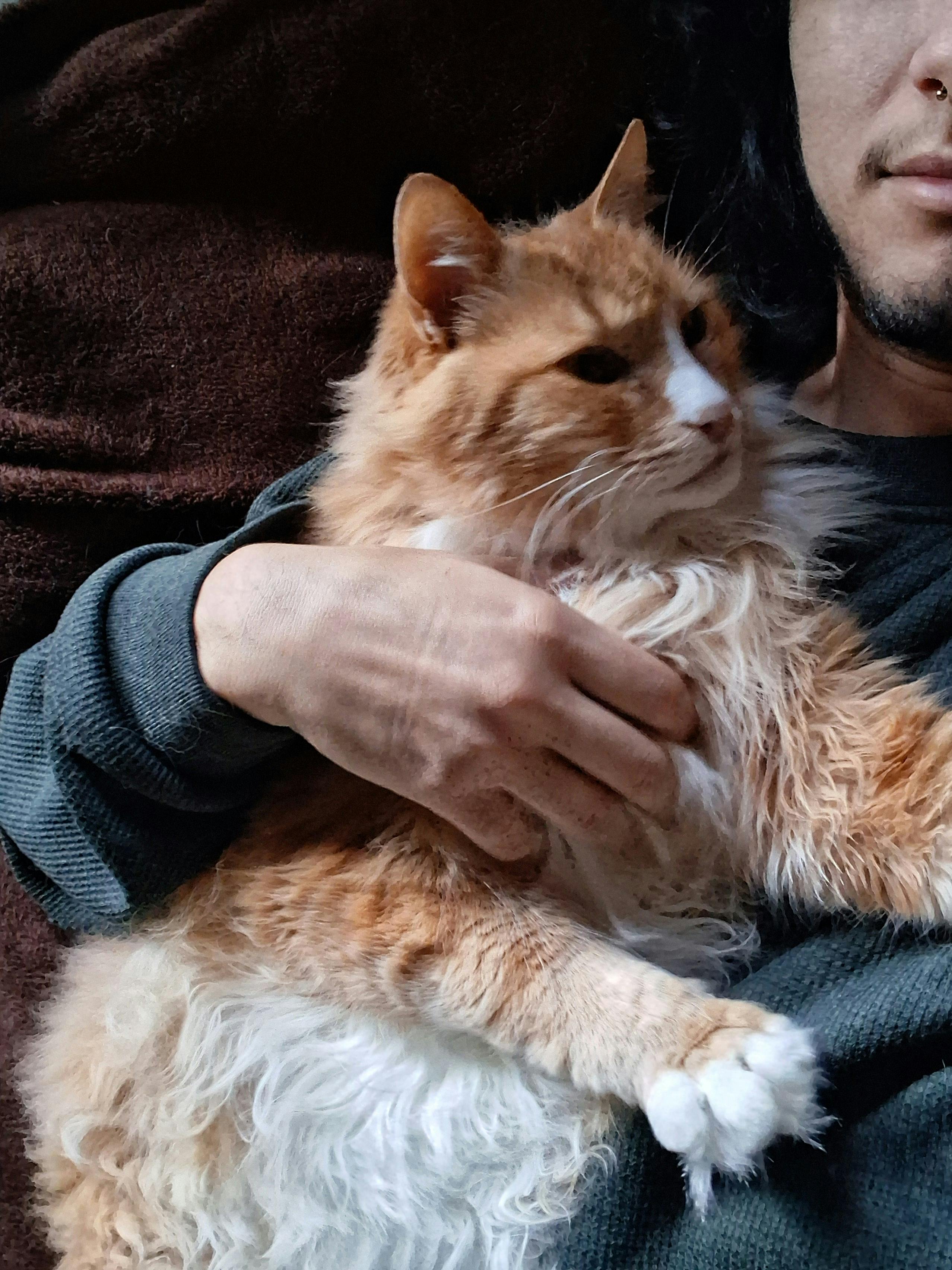 user avatar image for Jack Morningstar