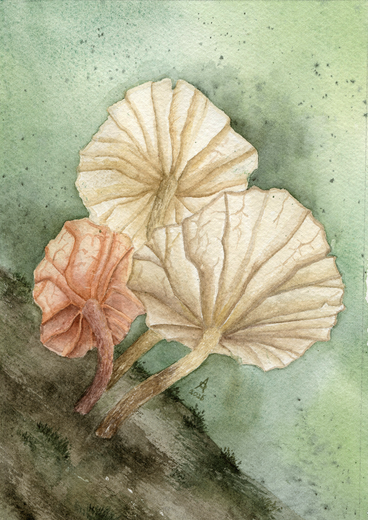 Fairy Parachute