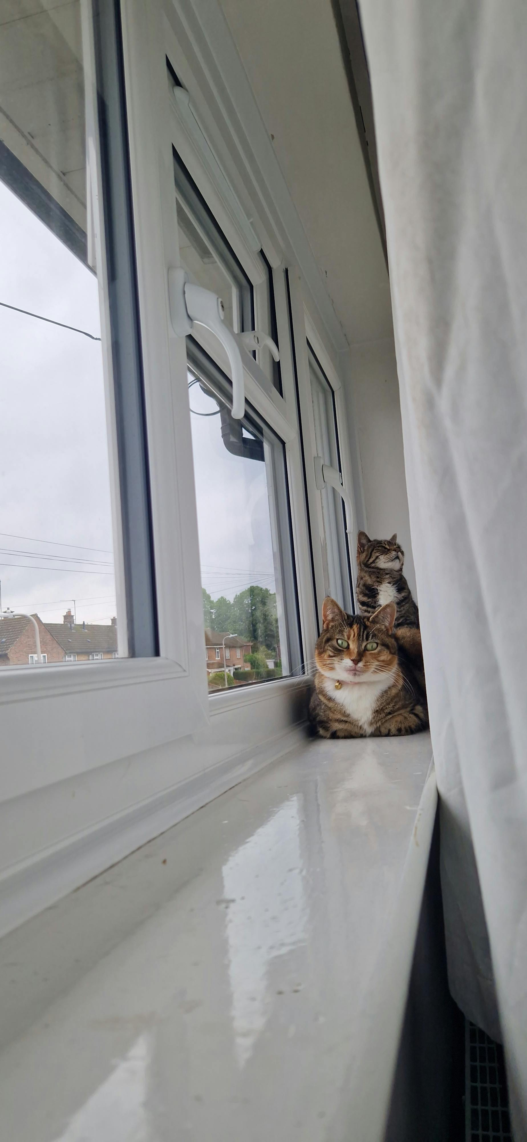 user avatar image for Sheela