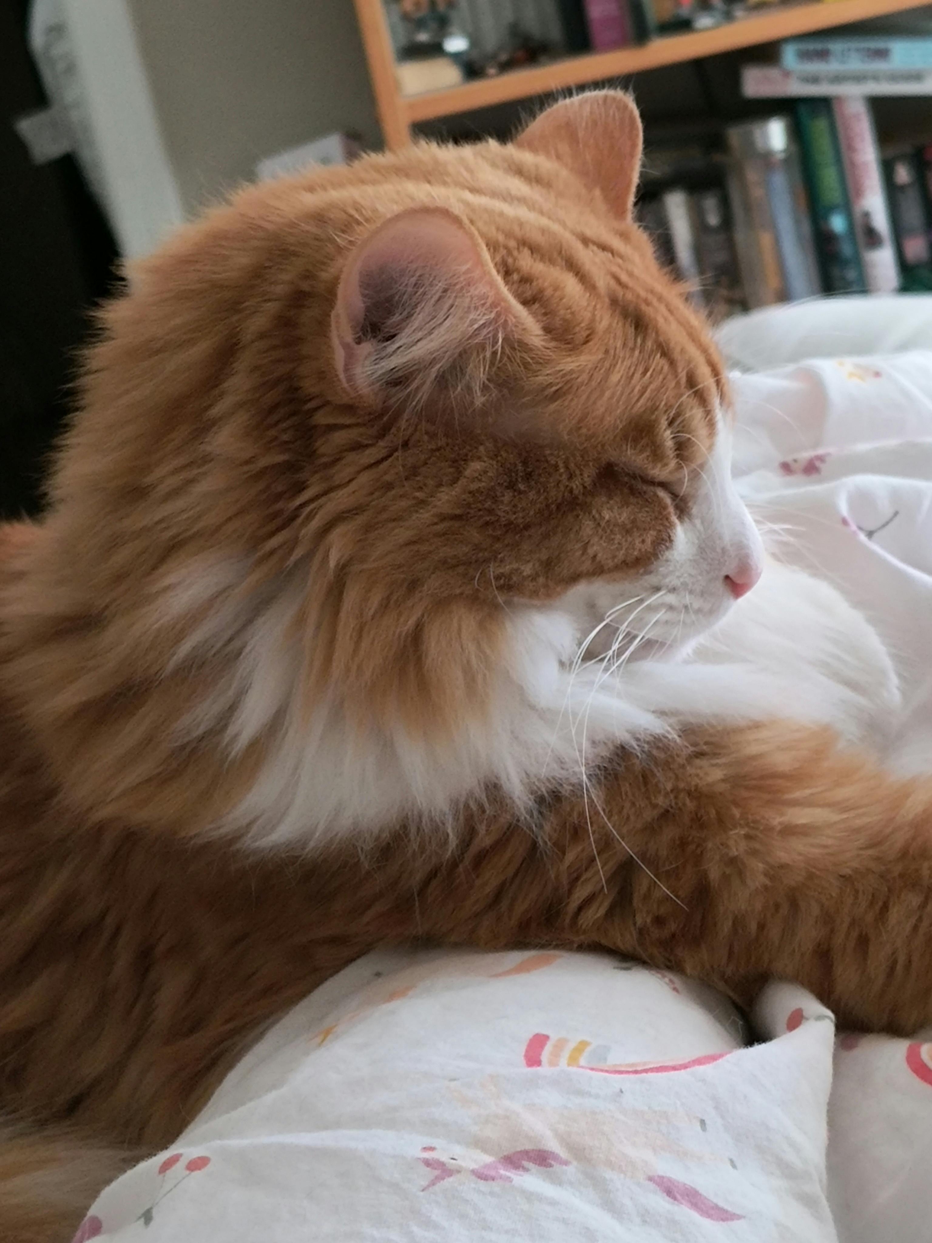 user avatar image for Dee Wilson