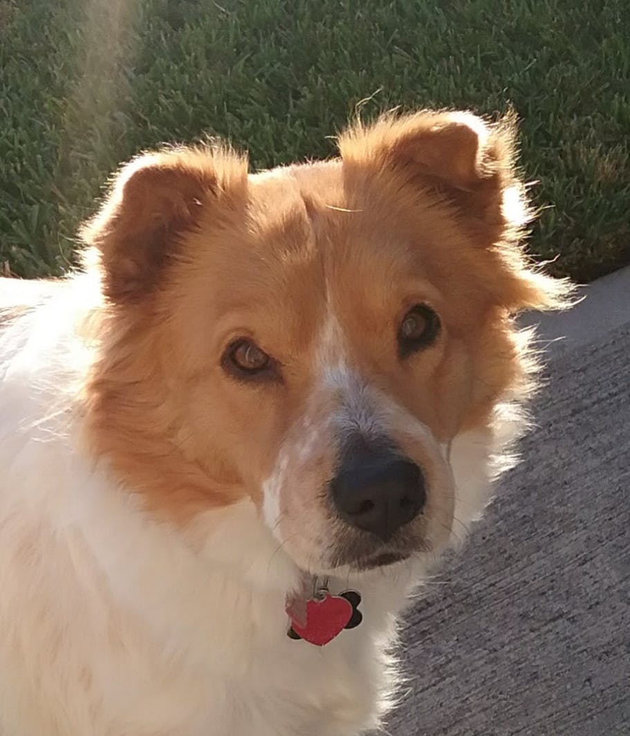 user avatar image for Kim Williams