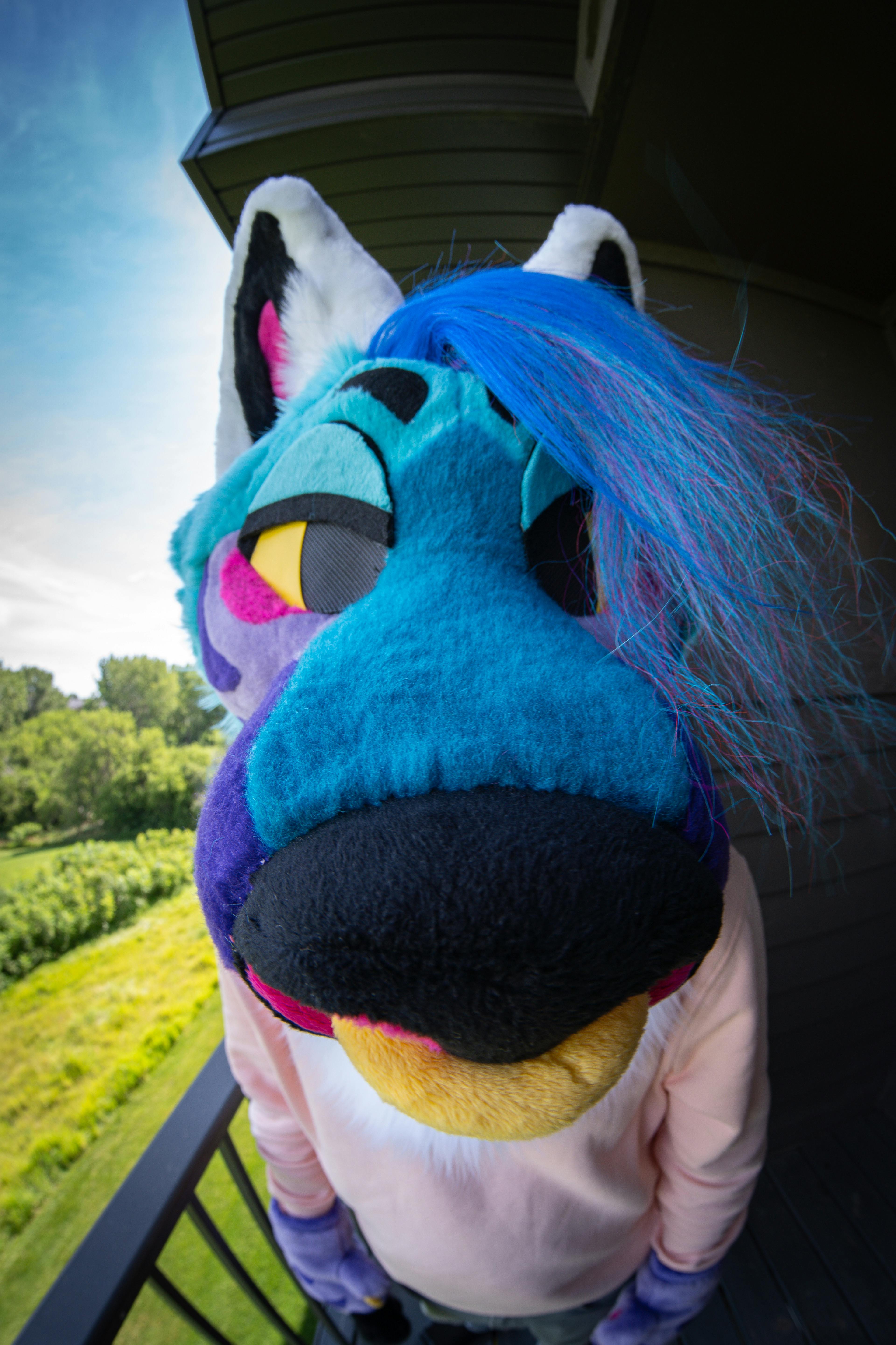 user avatar image for Rysho