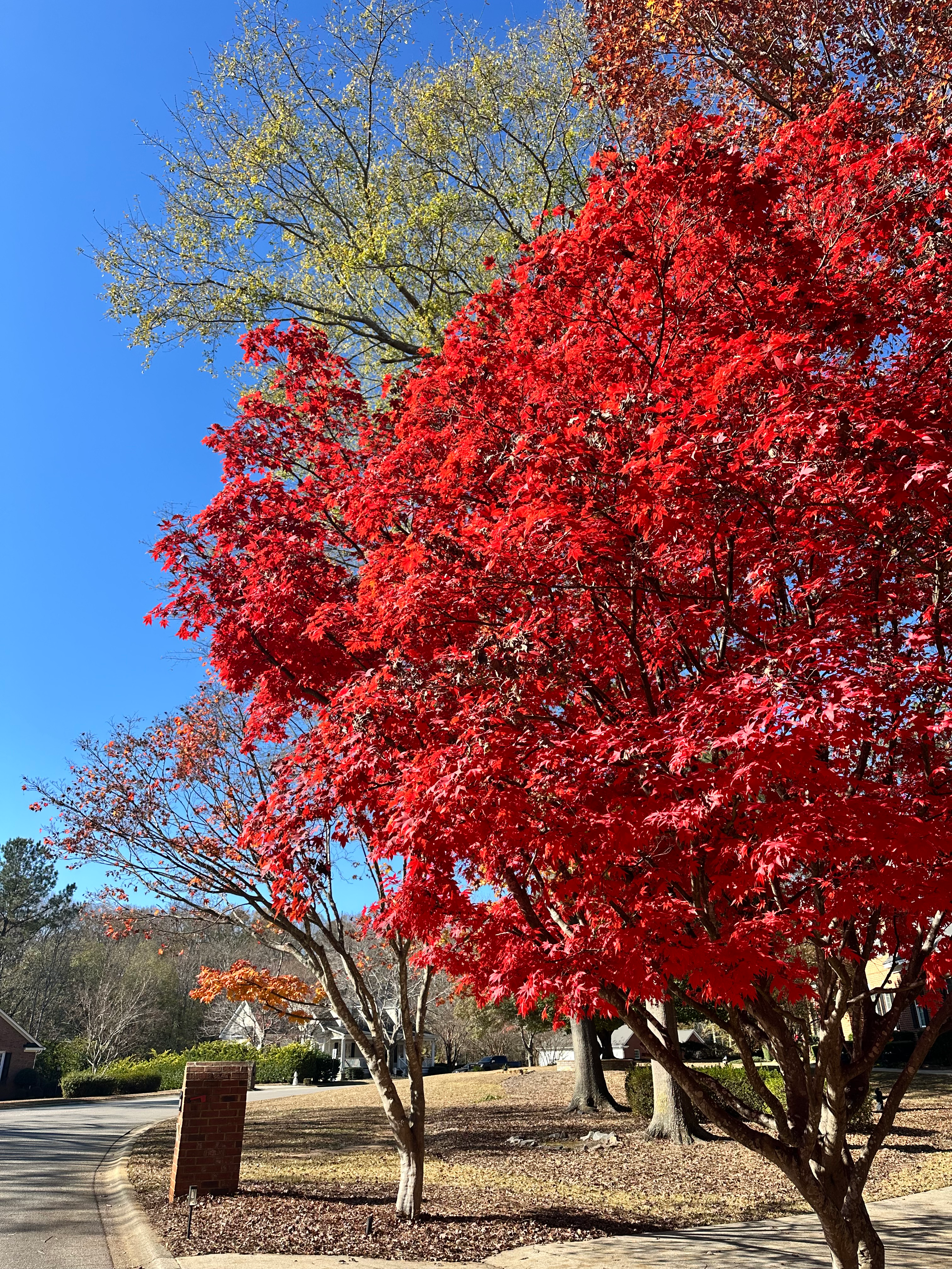 user avatar image for Dani