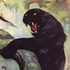 user avatar image for blackpanter02