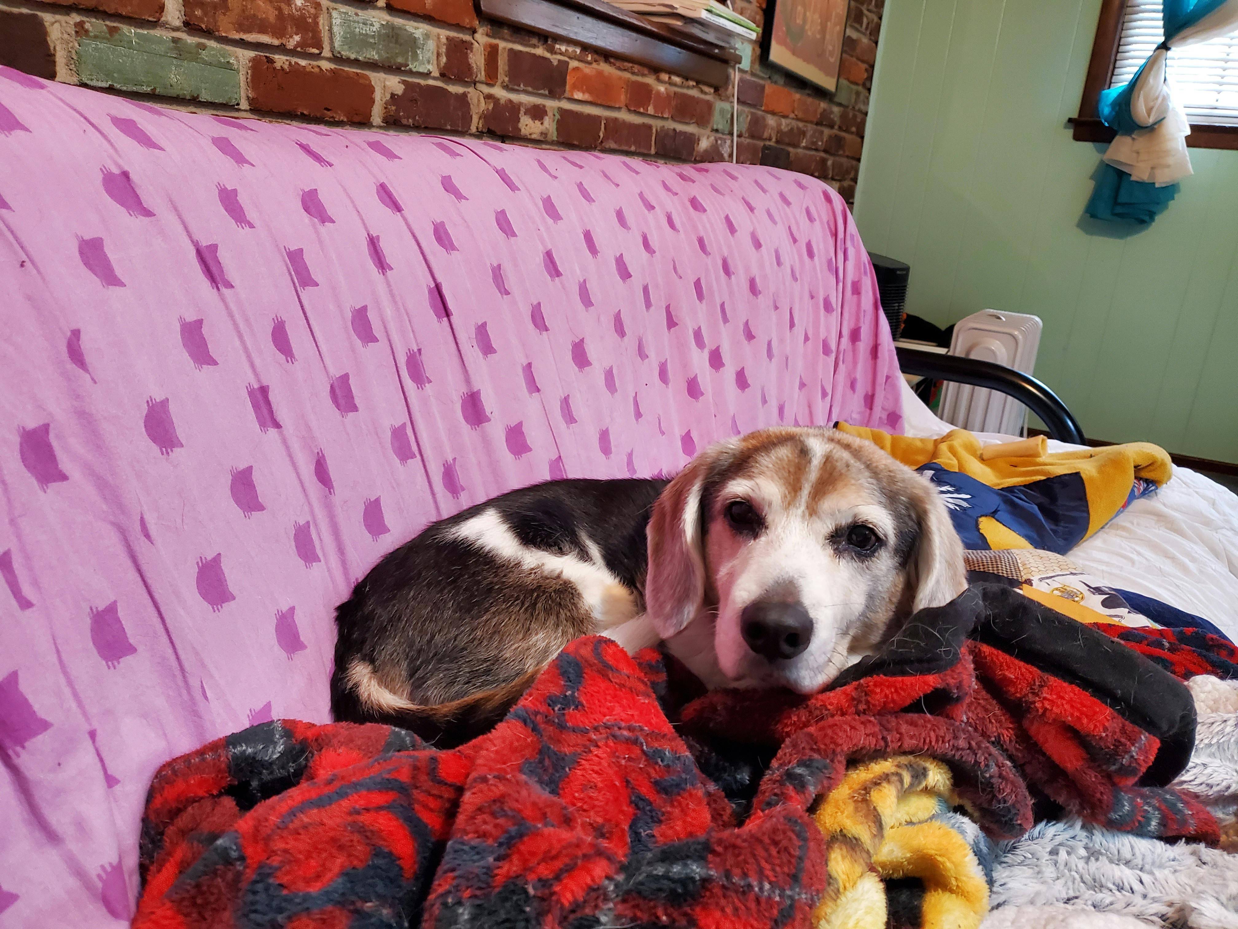 user avatar image for Kat Miller