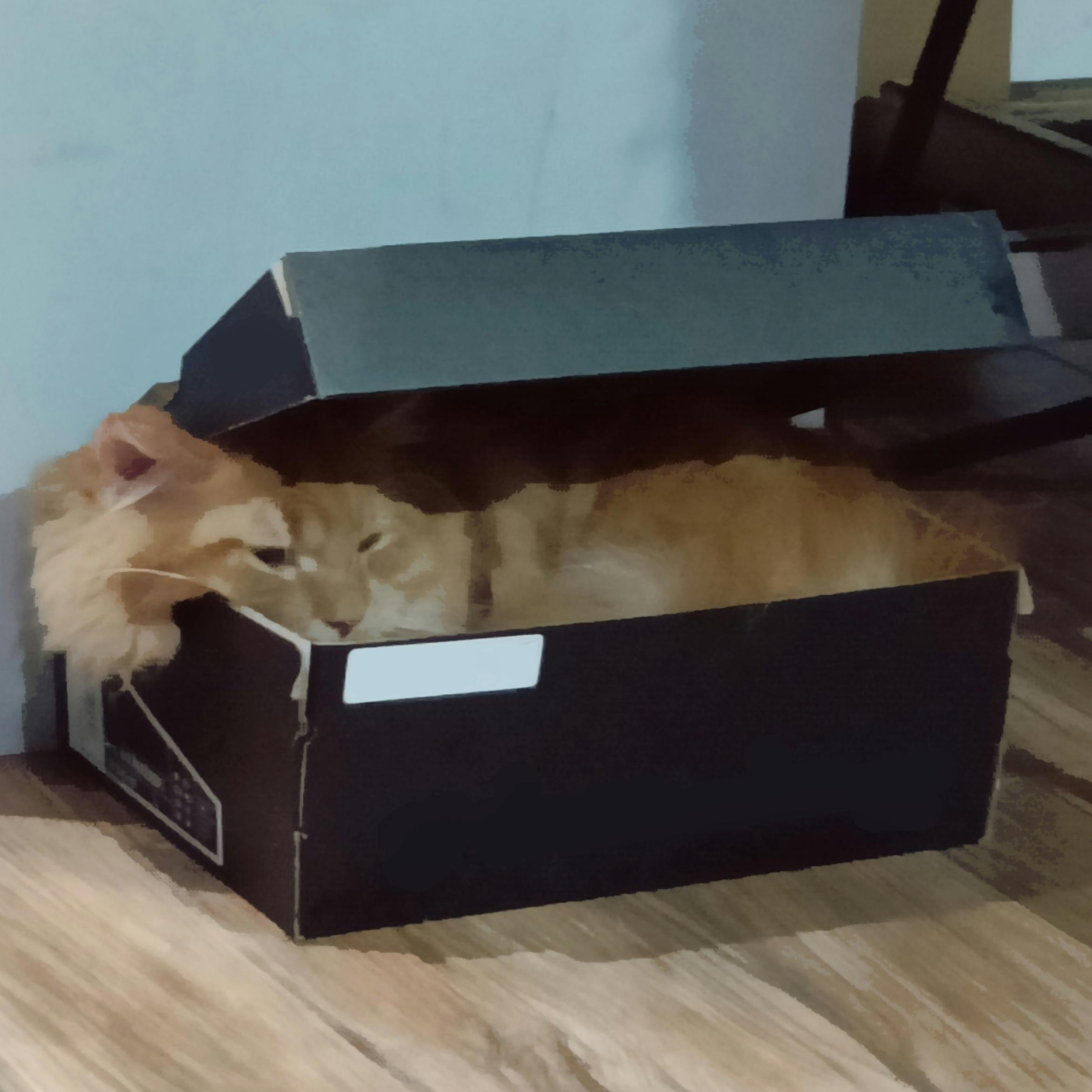 user avatar image for Sam