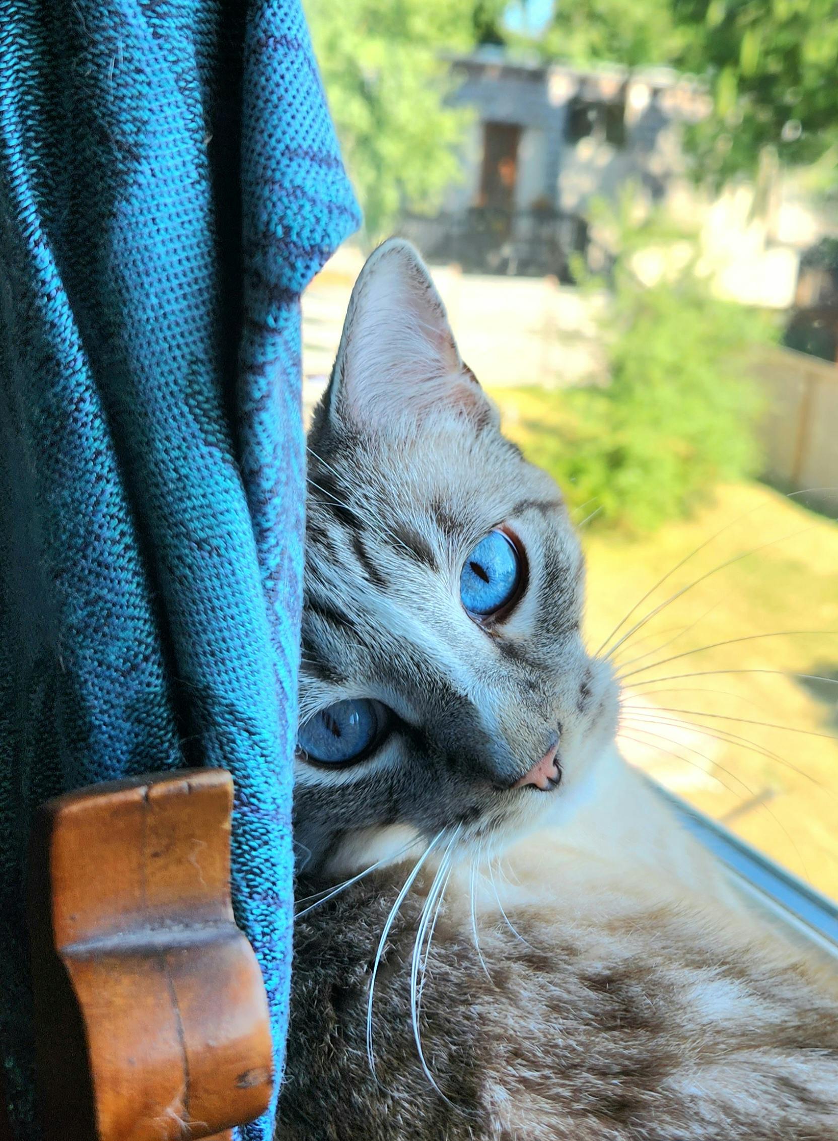 user avatar image for Mila Faye