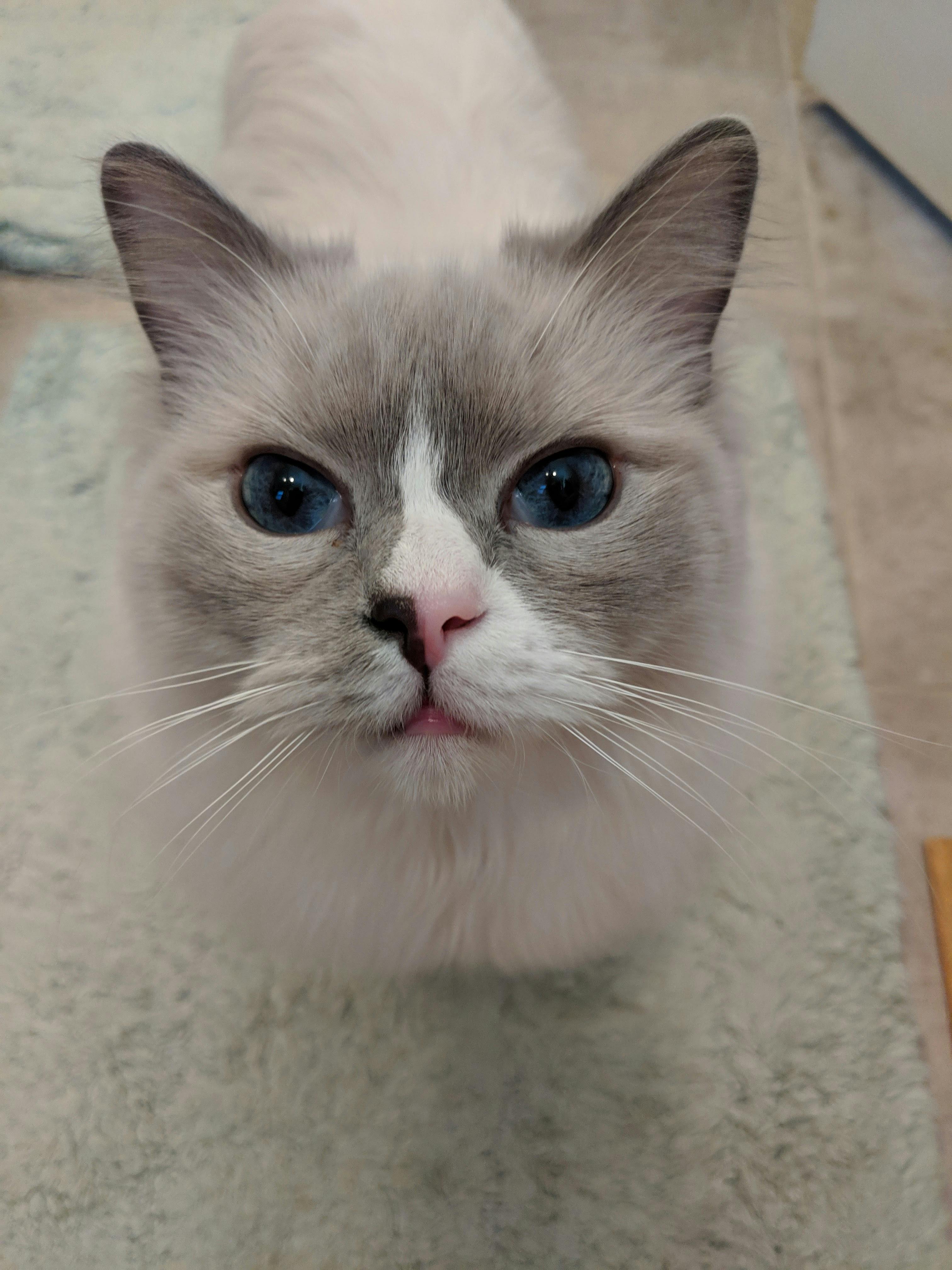 user avatar image for Jollene Martin