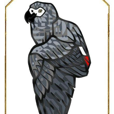 African Gray Parrot