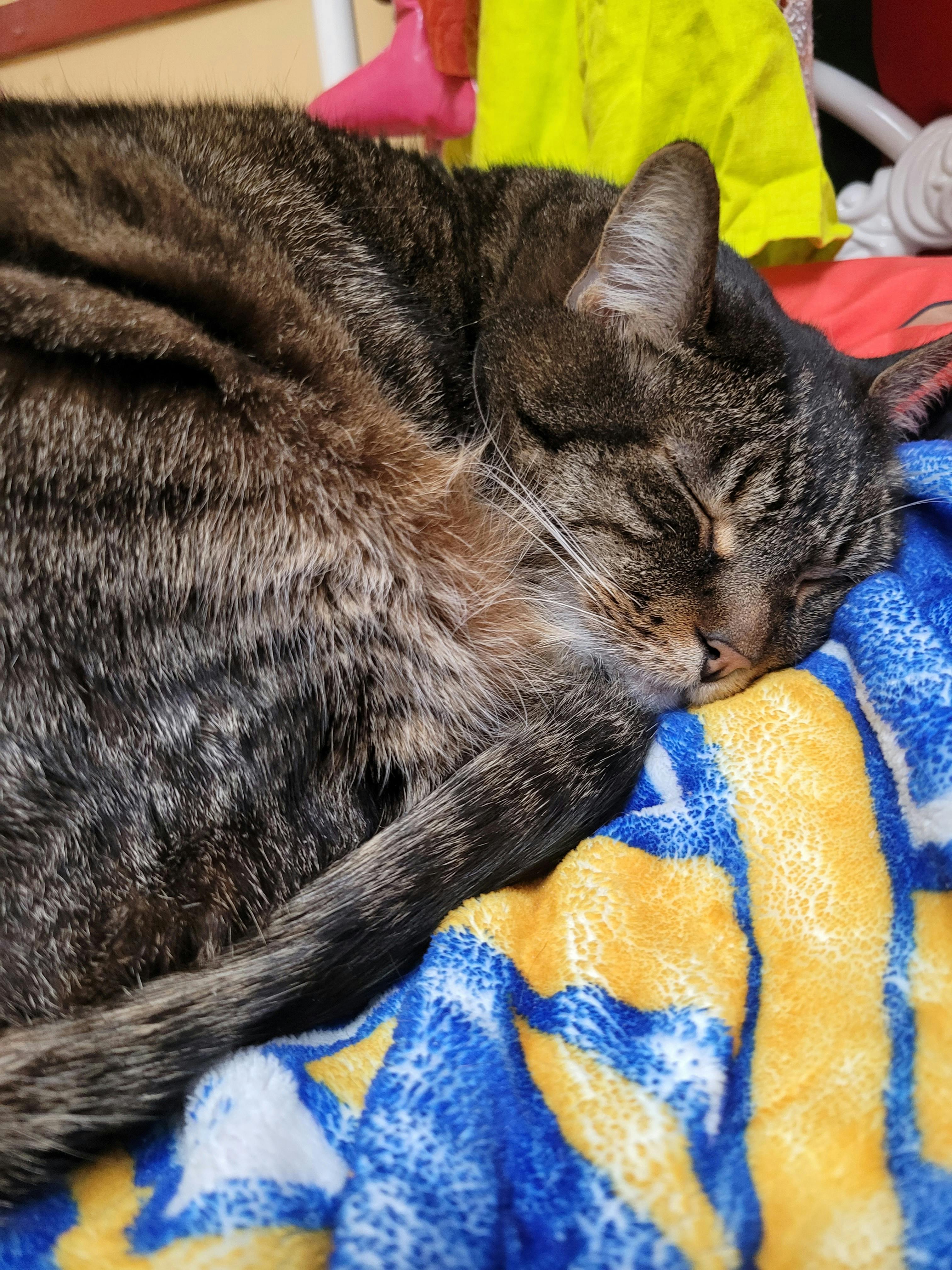 user avatar image for Raela 