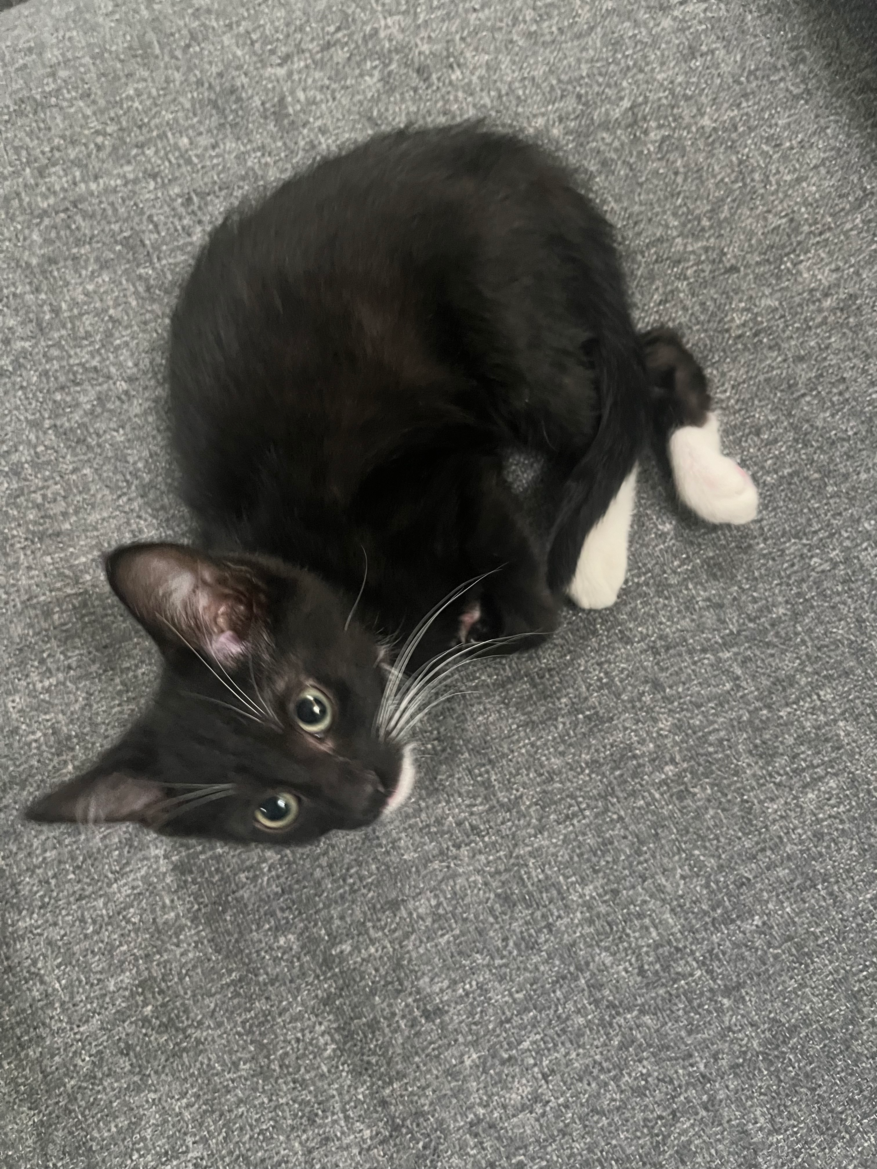 user avatar image for M