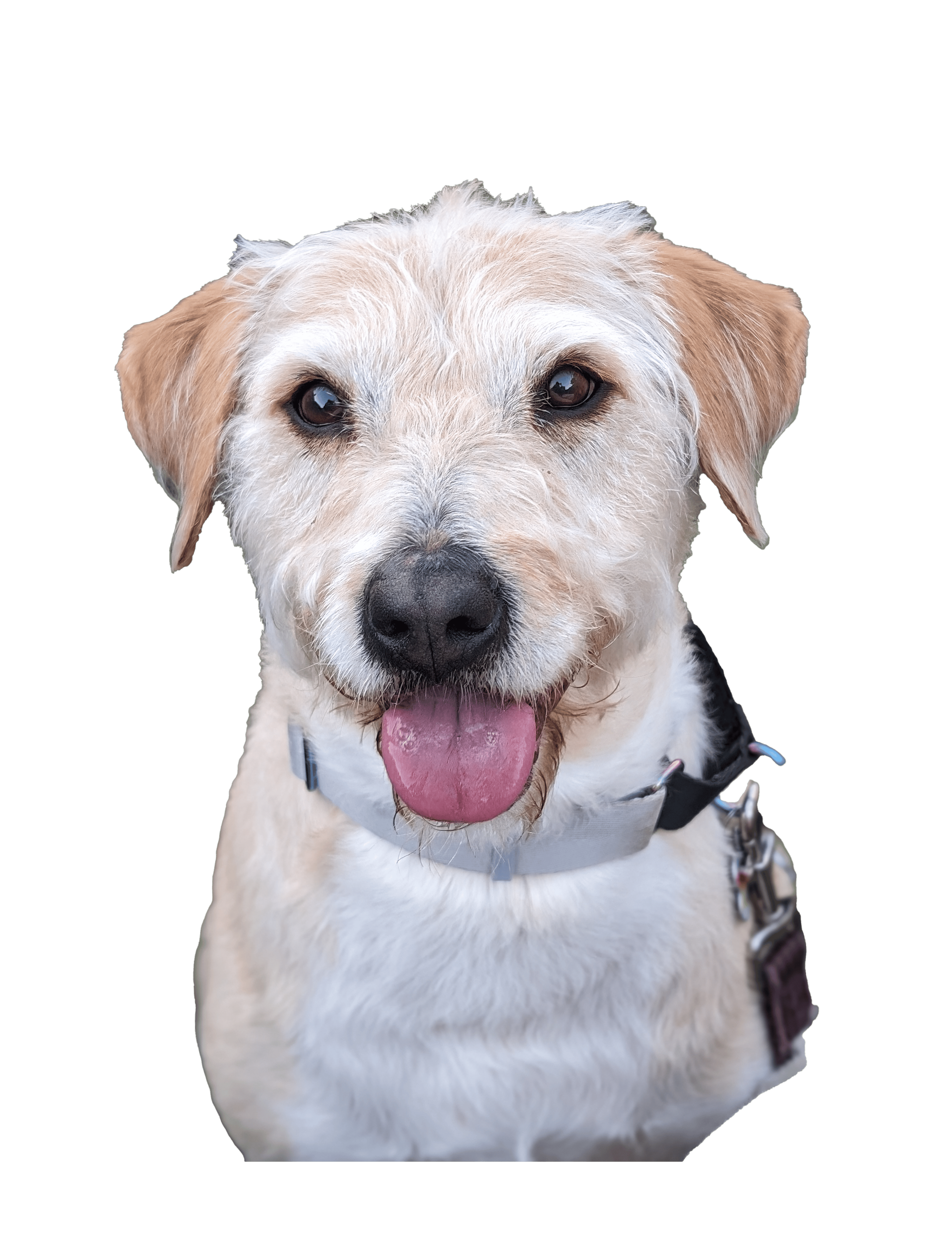 user avatar image for Dustin Mattson