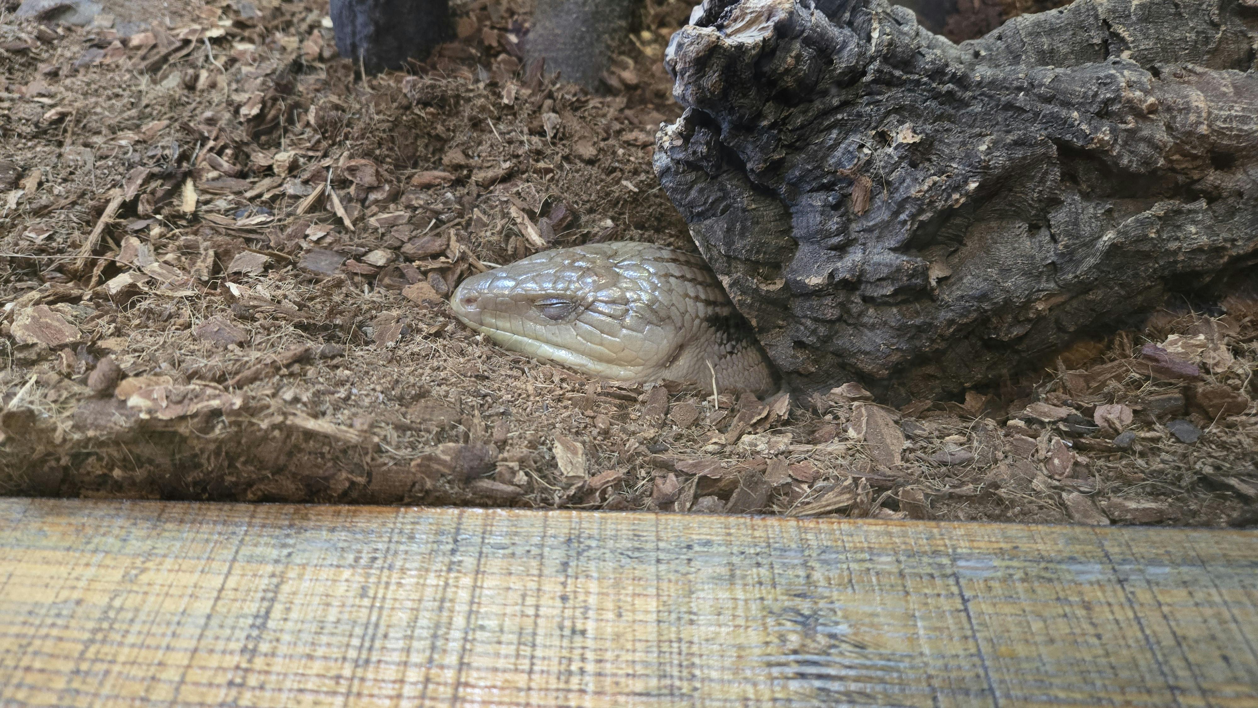 user avatar image for Em