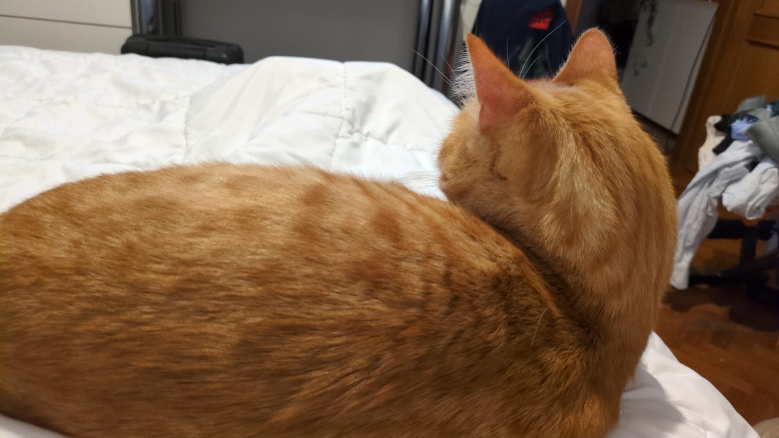 user avatar image for Leo