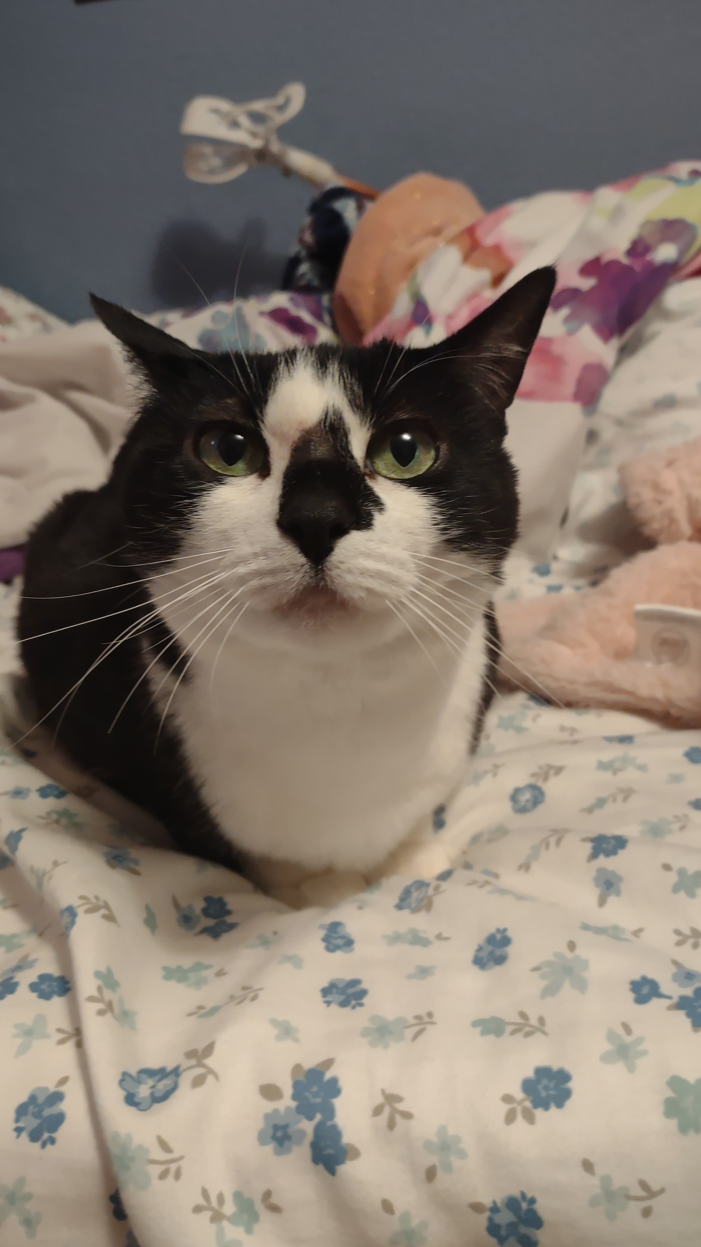 user avatar image for Callie Burkett