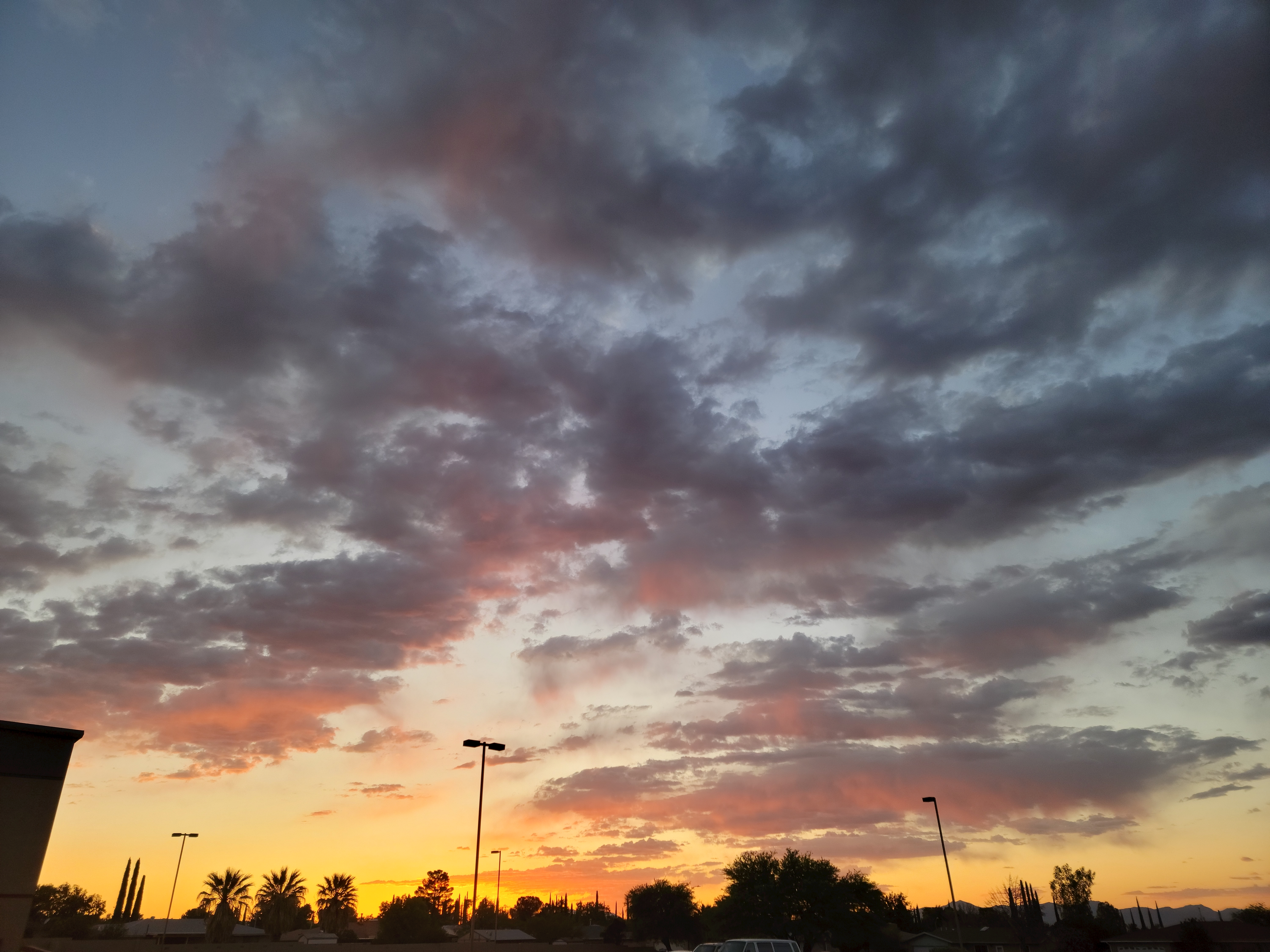 user avatar image for SRS