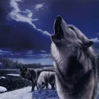 user avatar image for SnowDogZendo