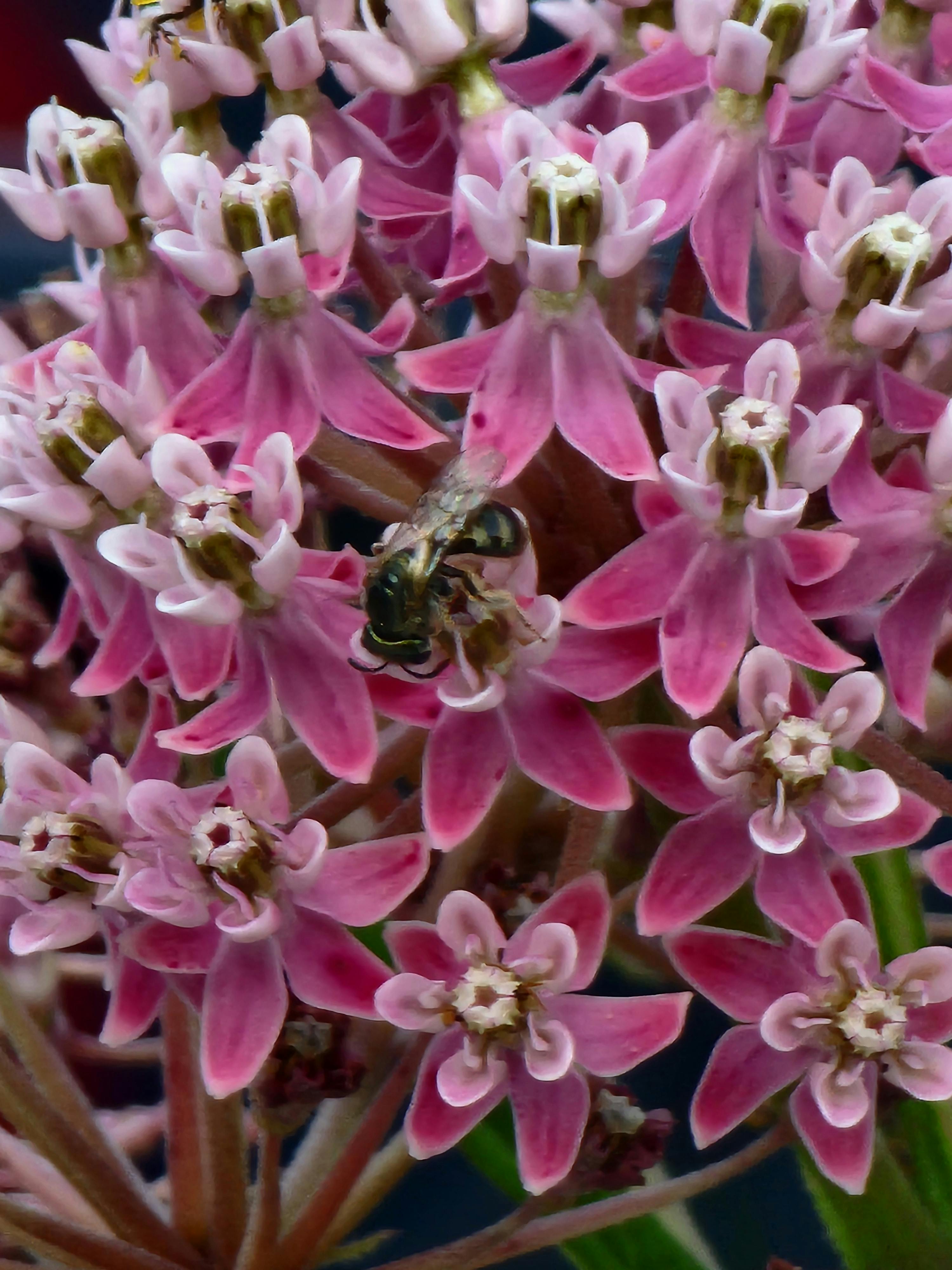 user avatar image for Deborah 