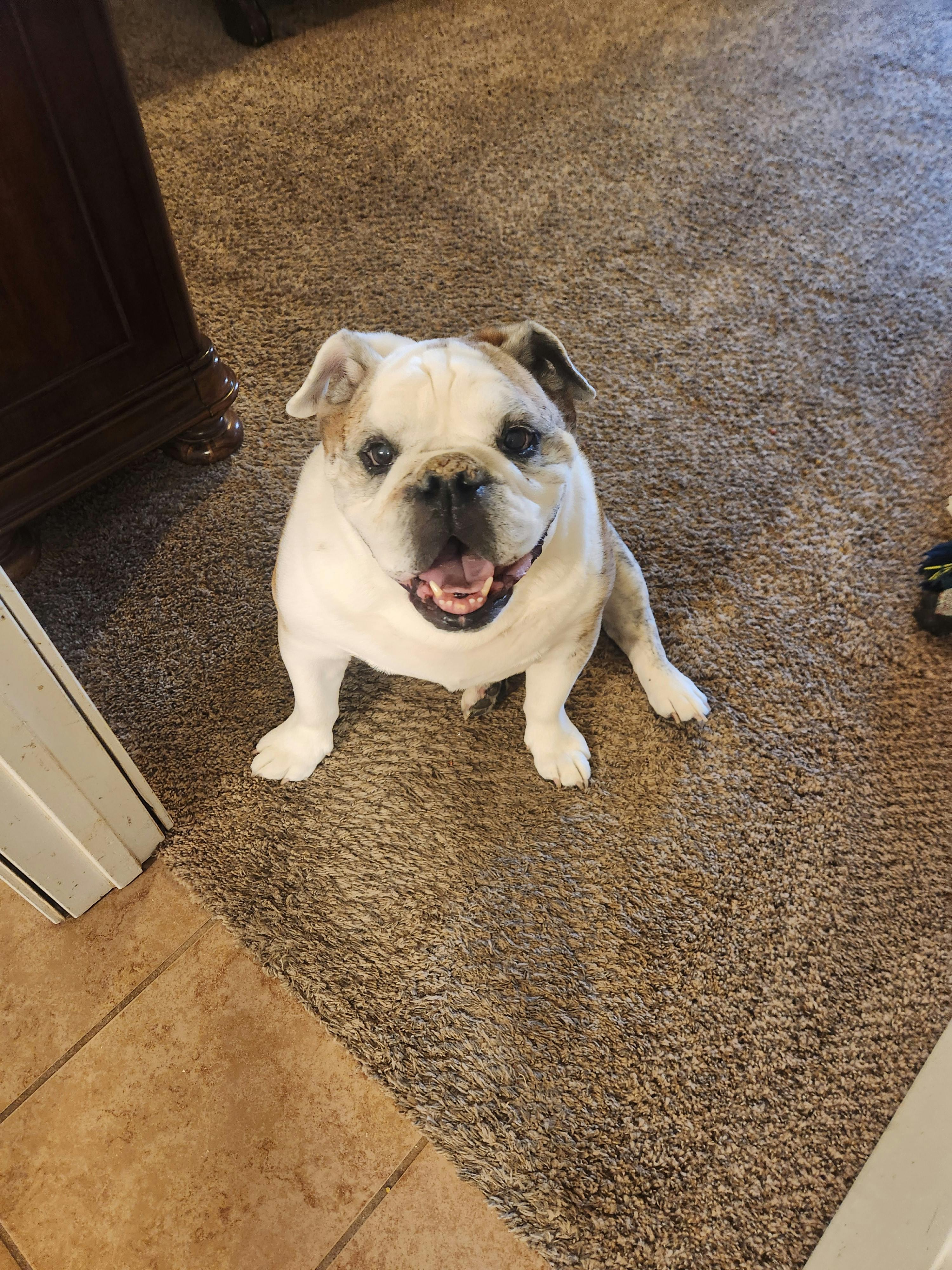 user avatar image for EvilSoulCharmer