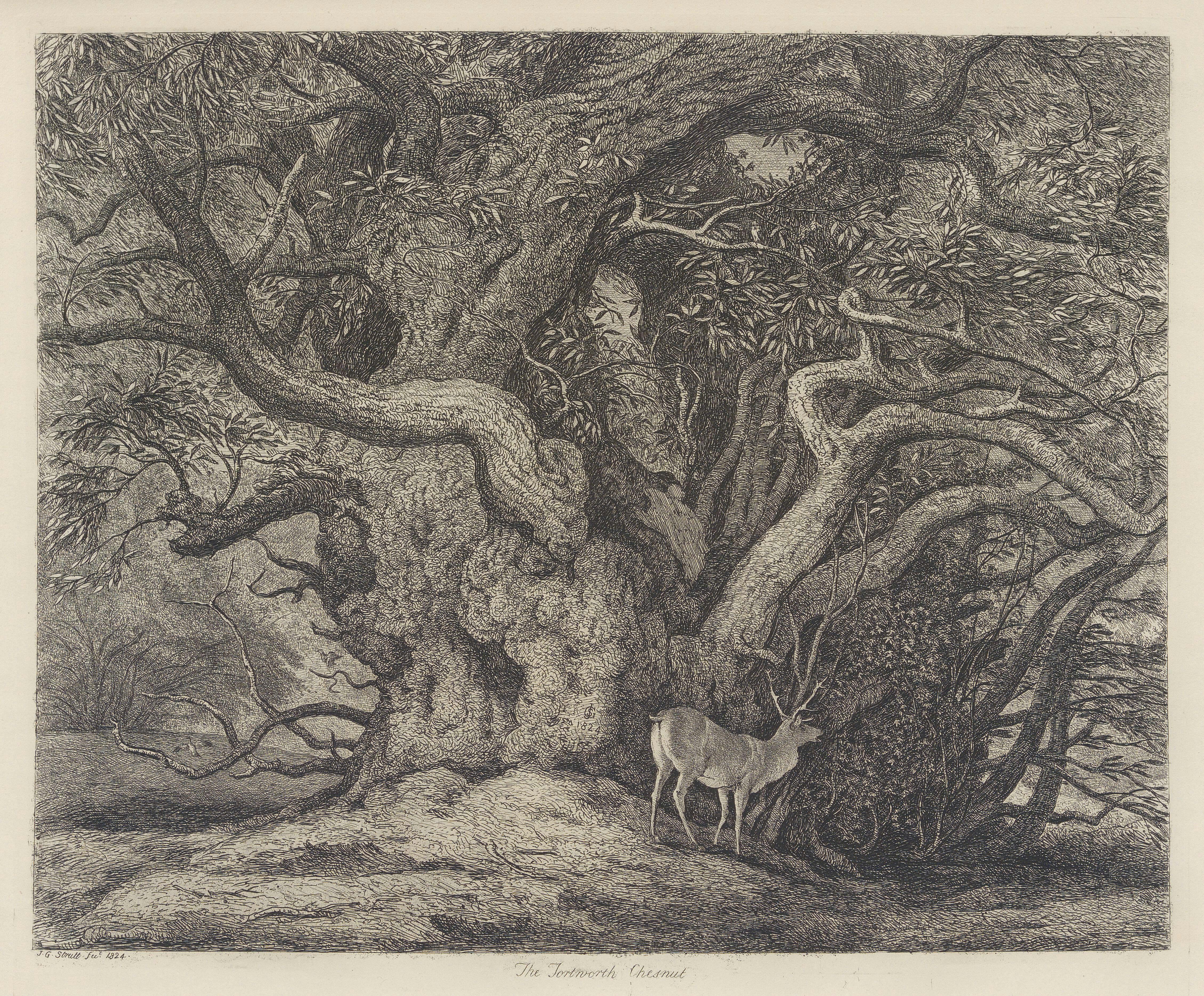 user avatar image for Giant Attention