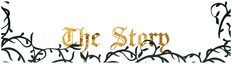 The Story