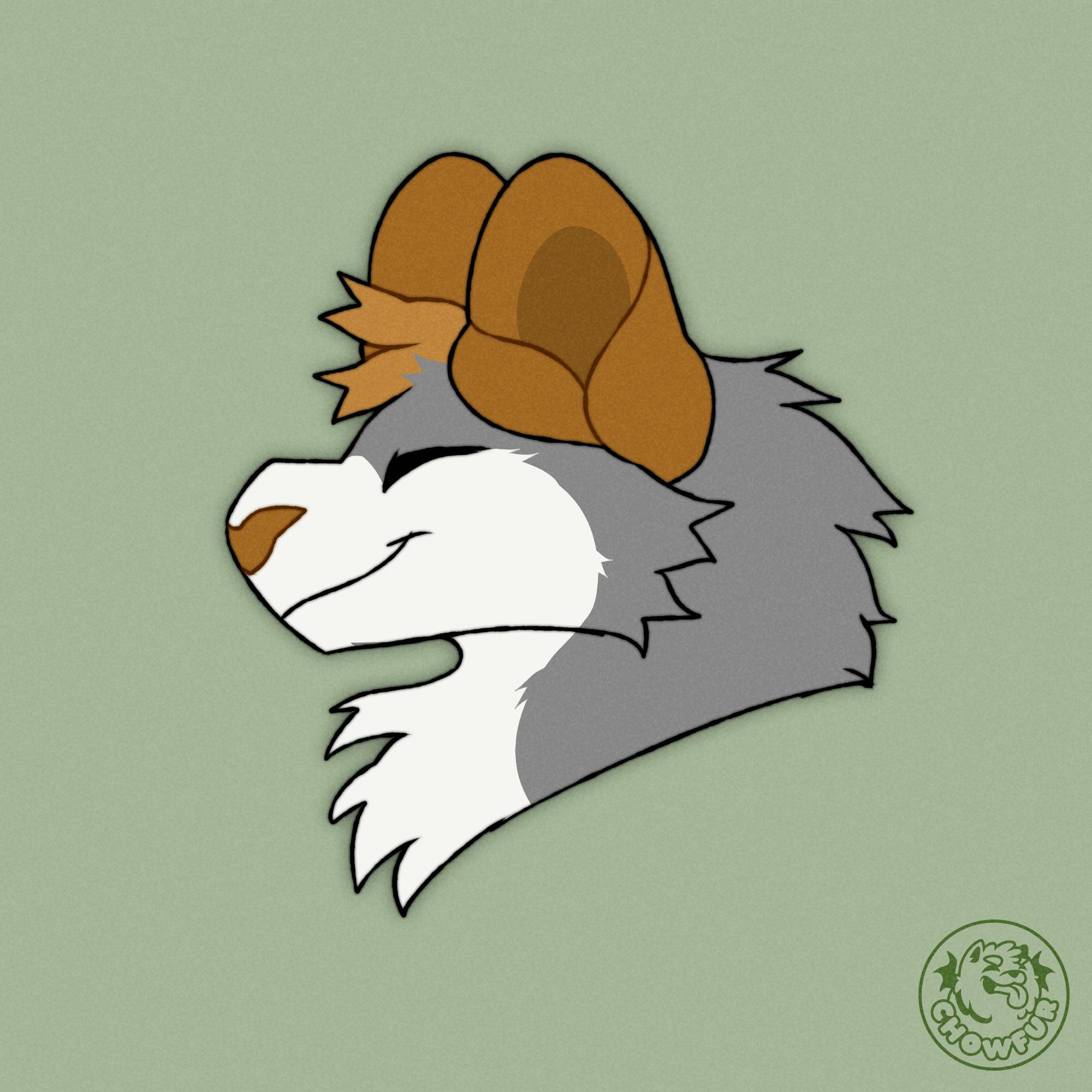 user avatar image for Skiey