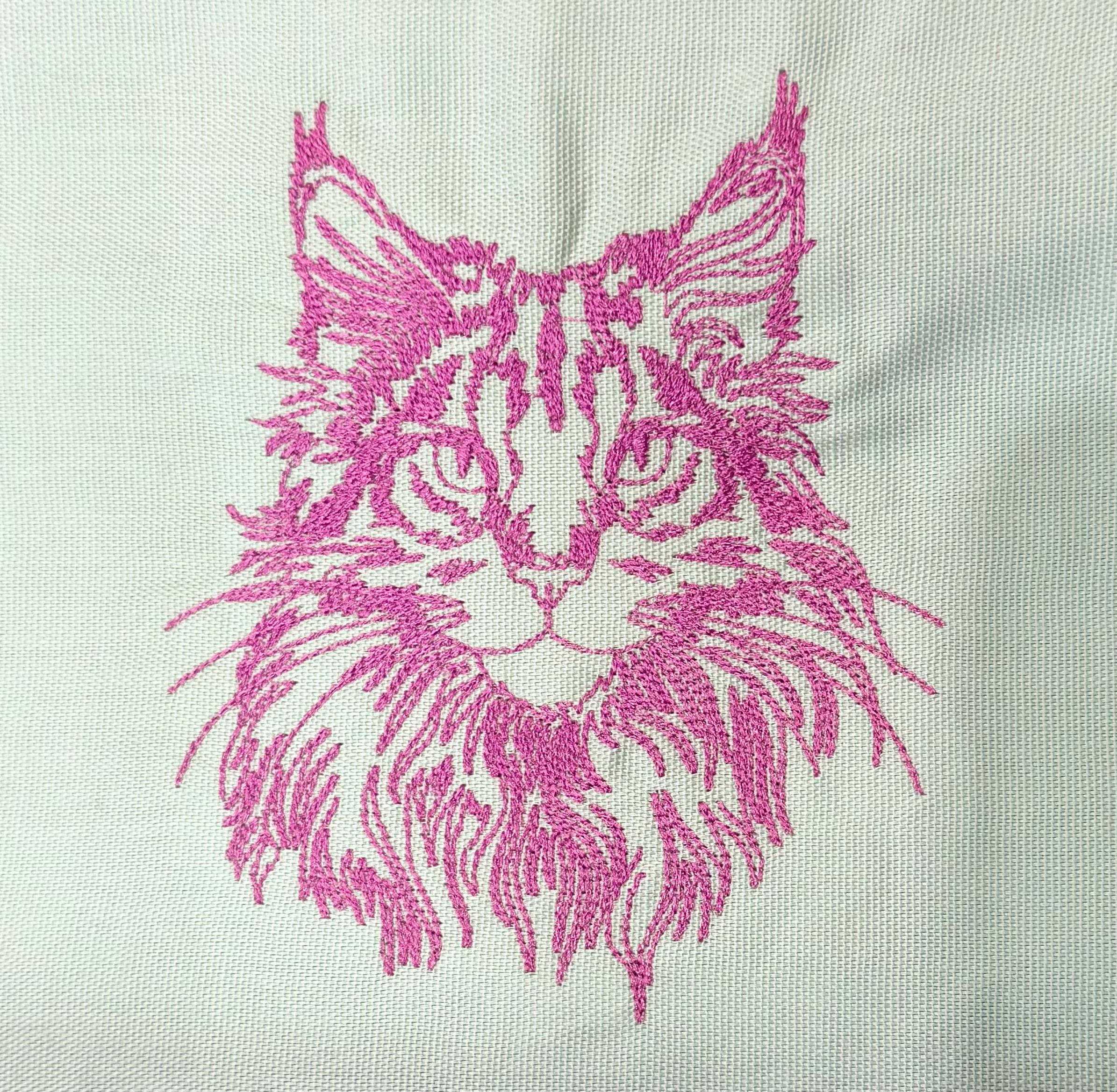 Pink Maine Coon on Mint banner