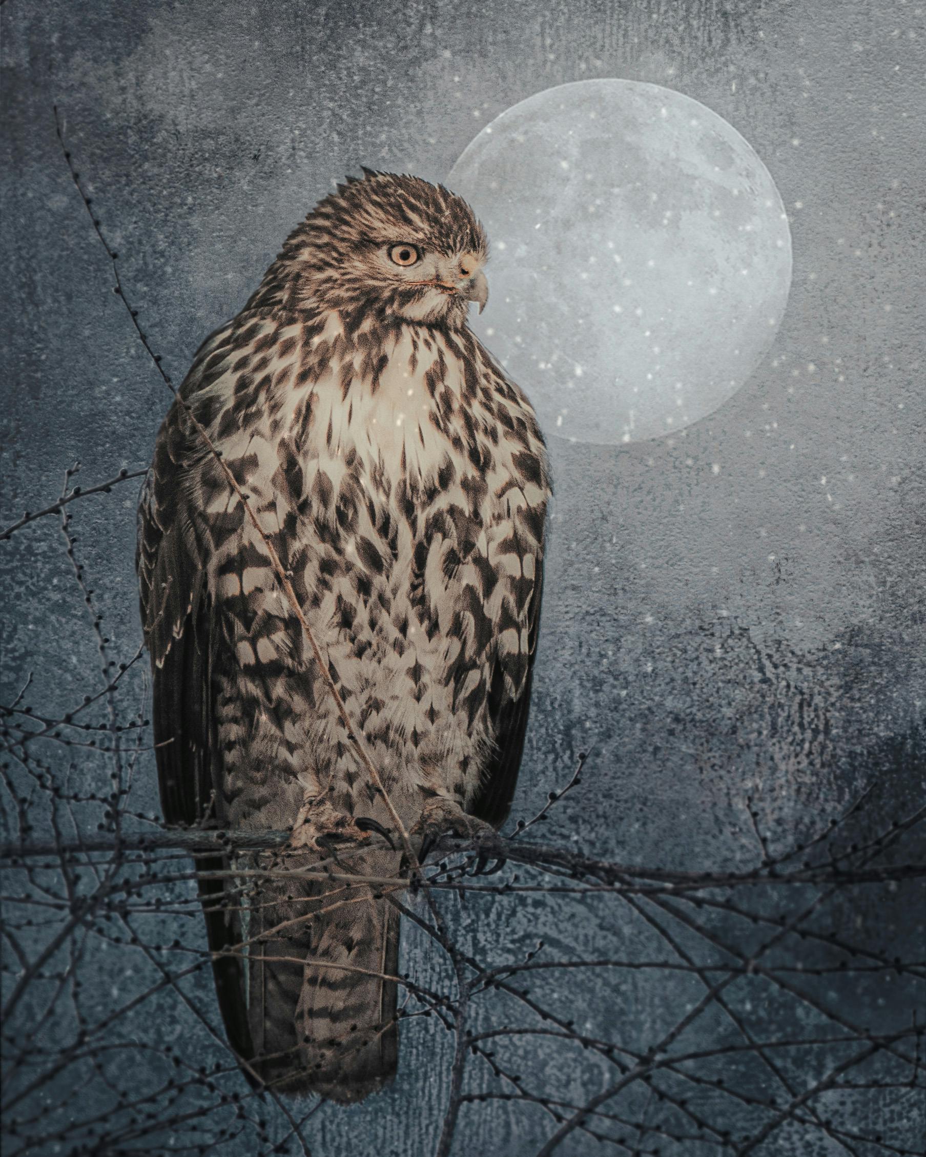 user avatar image for Linda Ledbetter