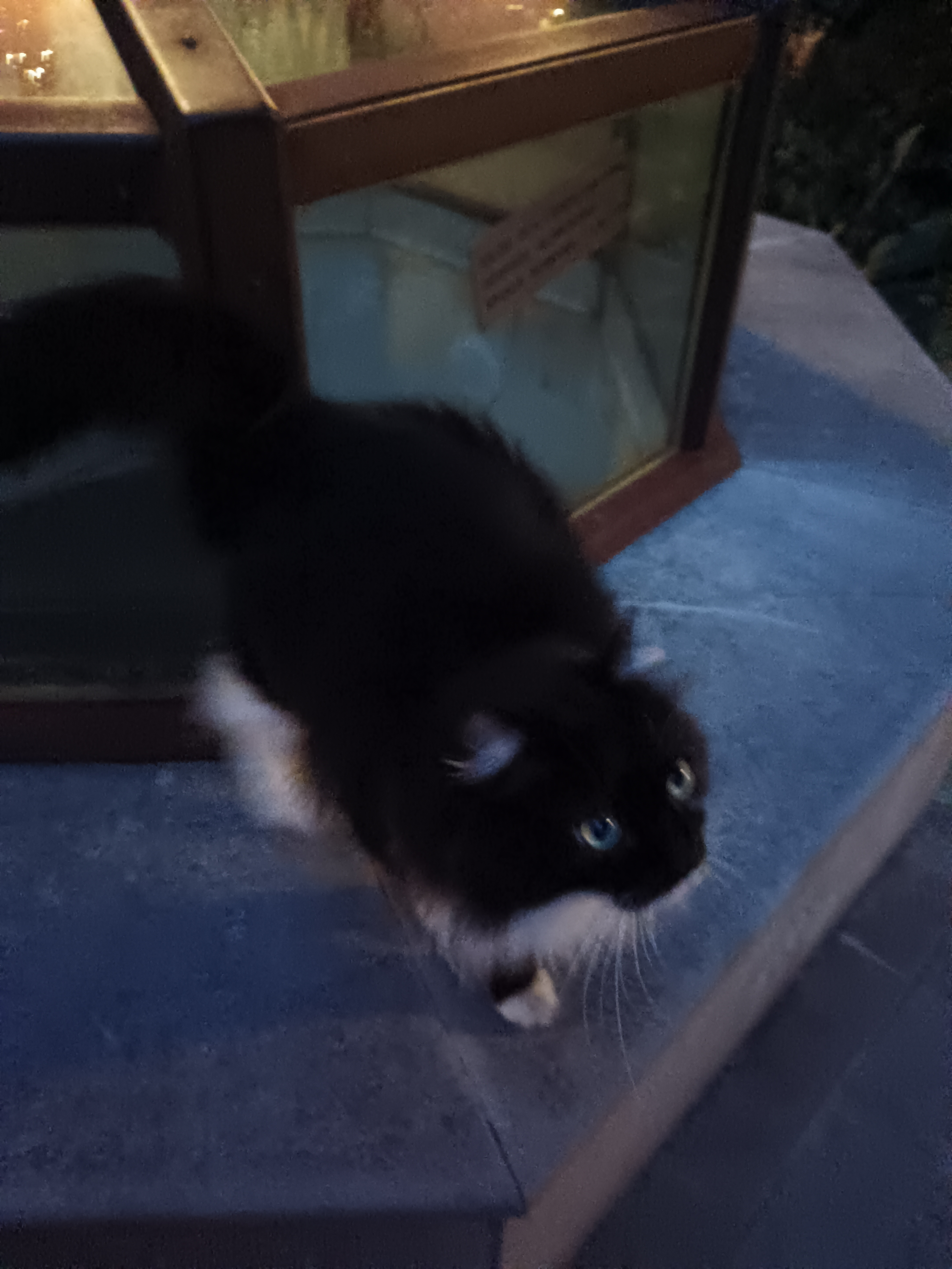 user avatar image for Maxwell