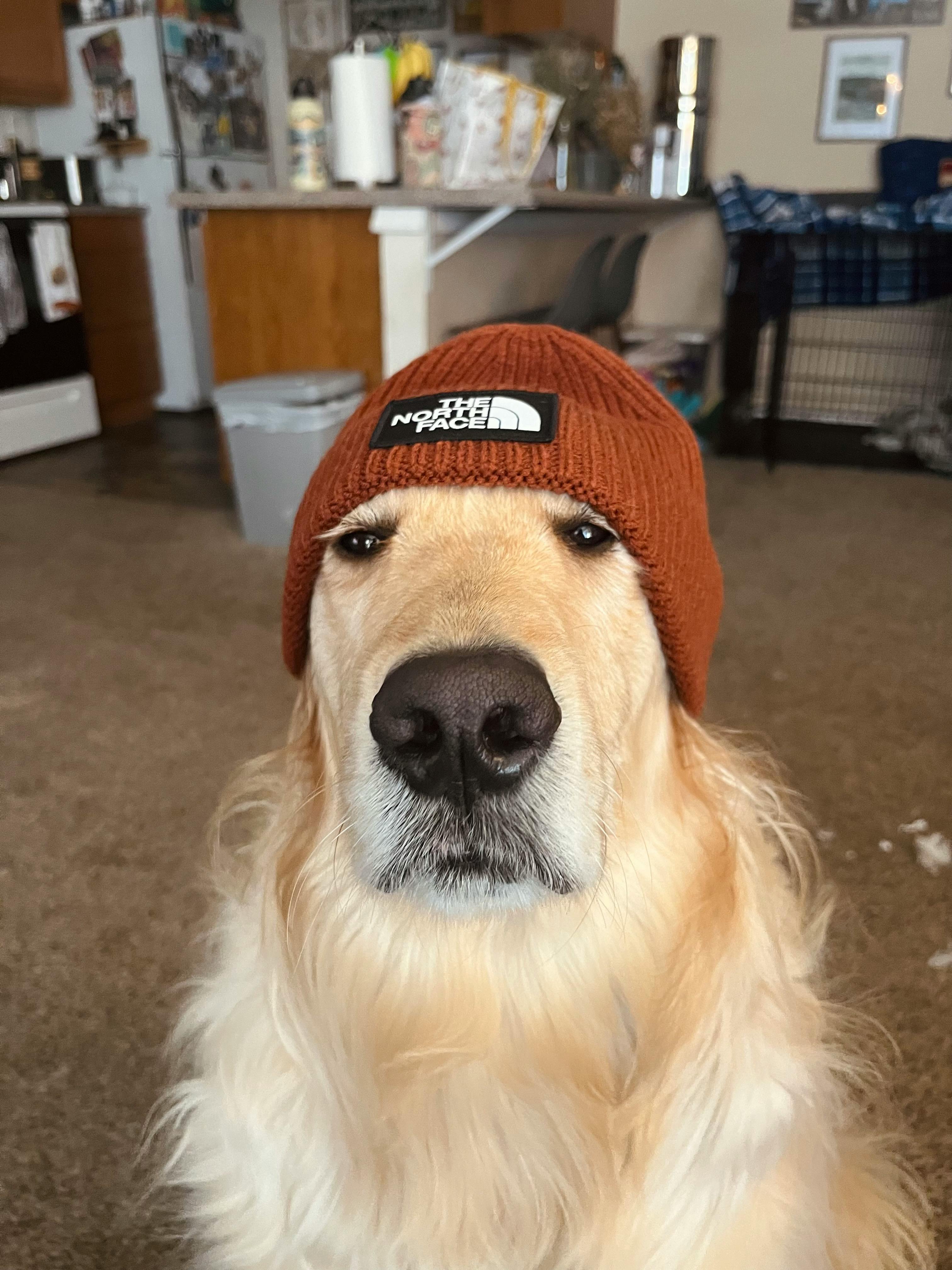 user avatar image for Jacob 