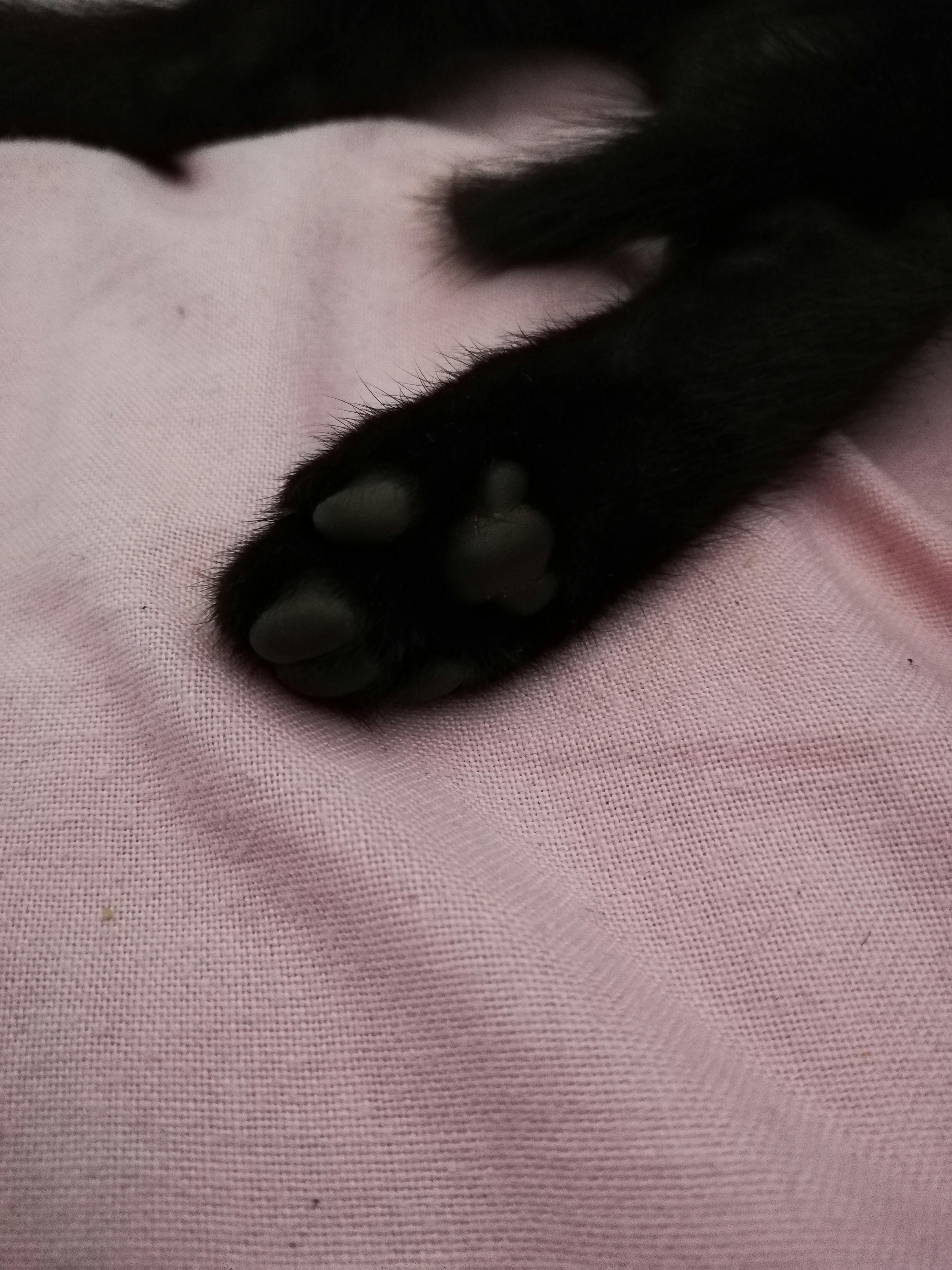 user avatar image for Isabella