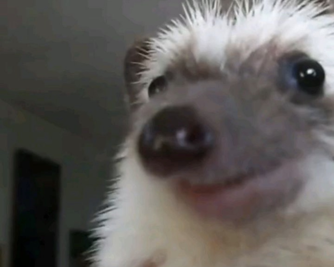 user avatar image for Djsackboy 