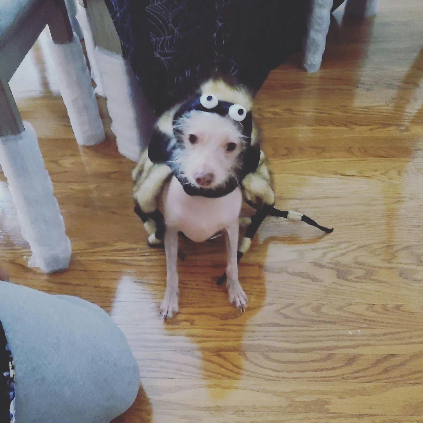 user avatar image for Charlie Thompson