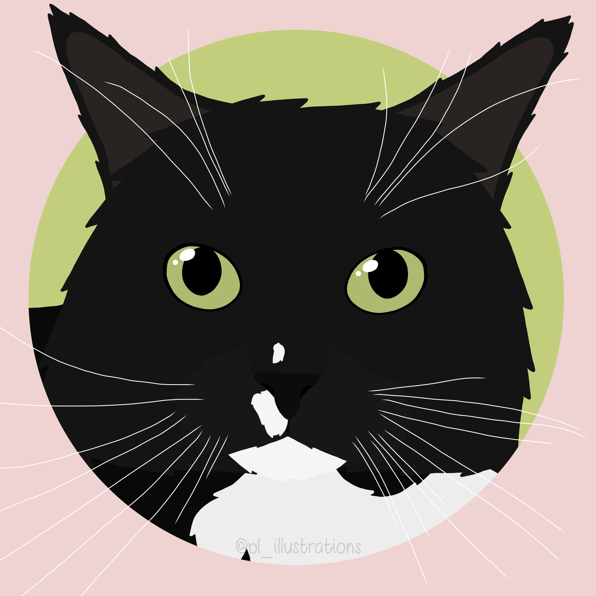 user avatar image for Robyn