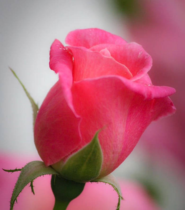 user avatar image for Mishkaal