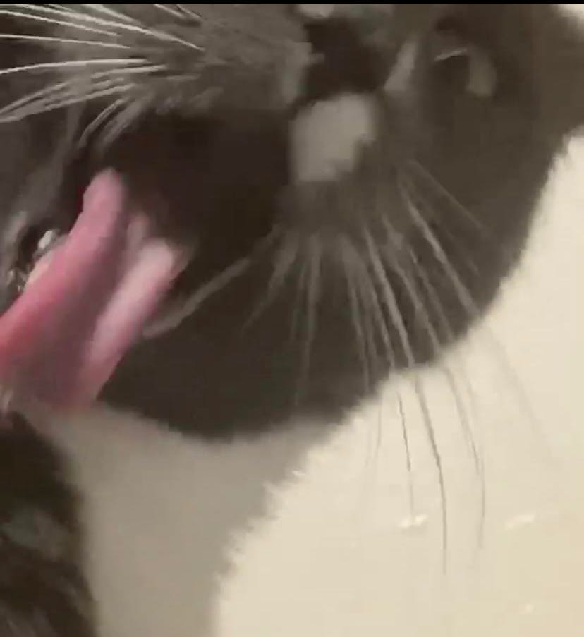 user avatar image for Will