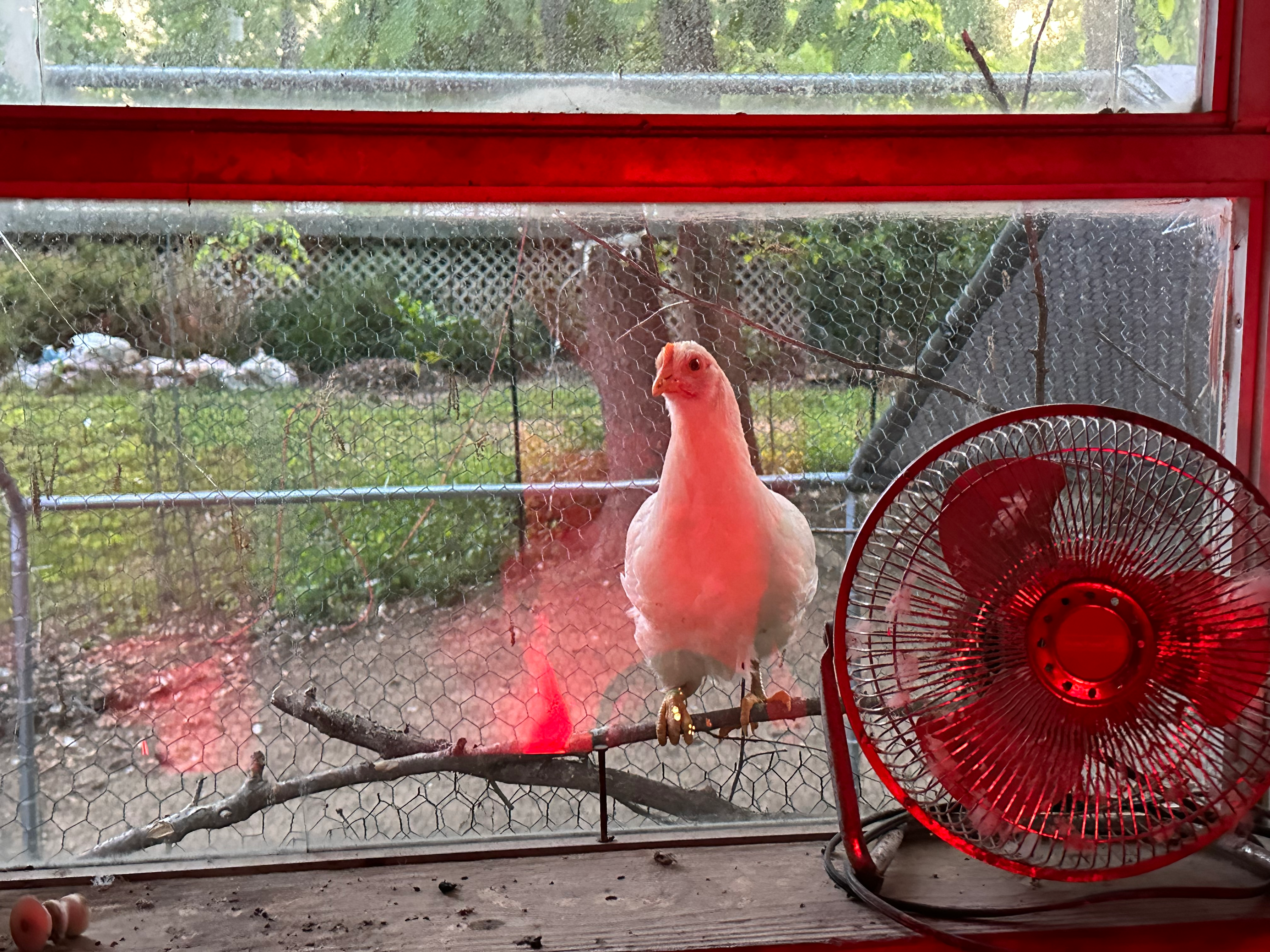 user avatar image for E