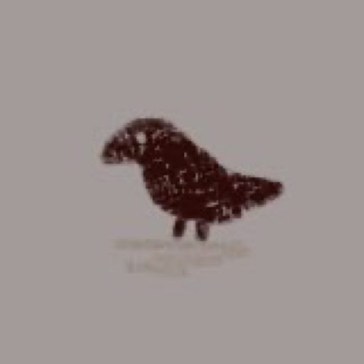 user avatar image for Windriderr