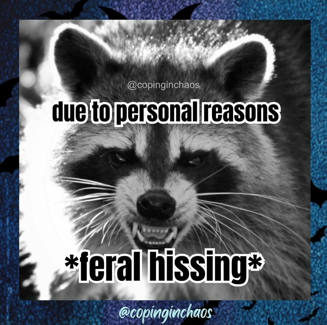 user avatar image for Jessica Mack