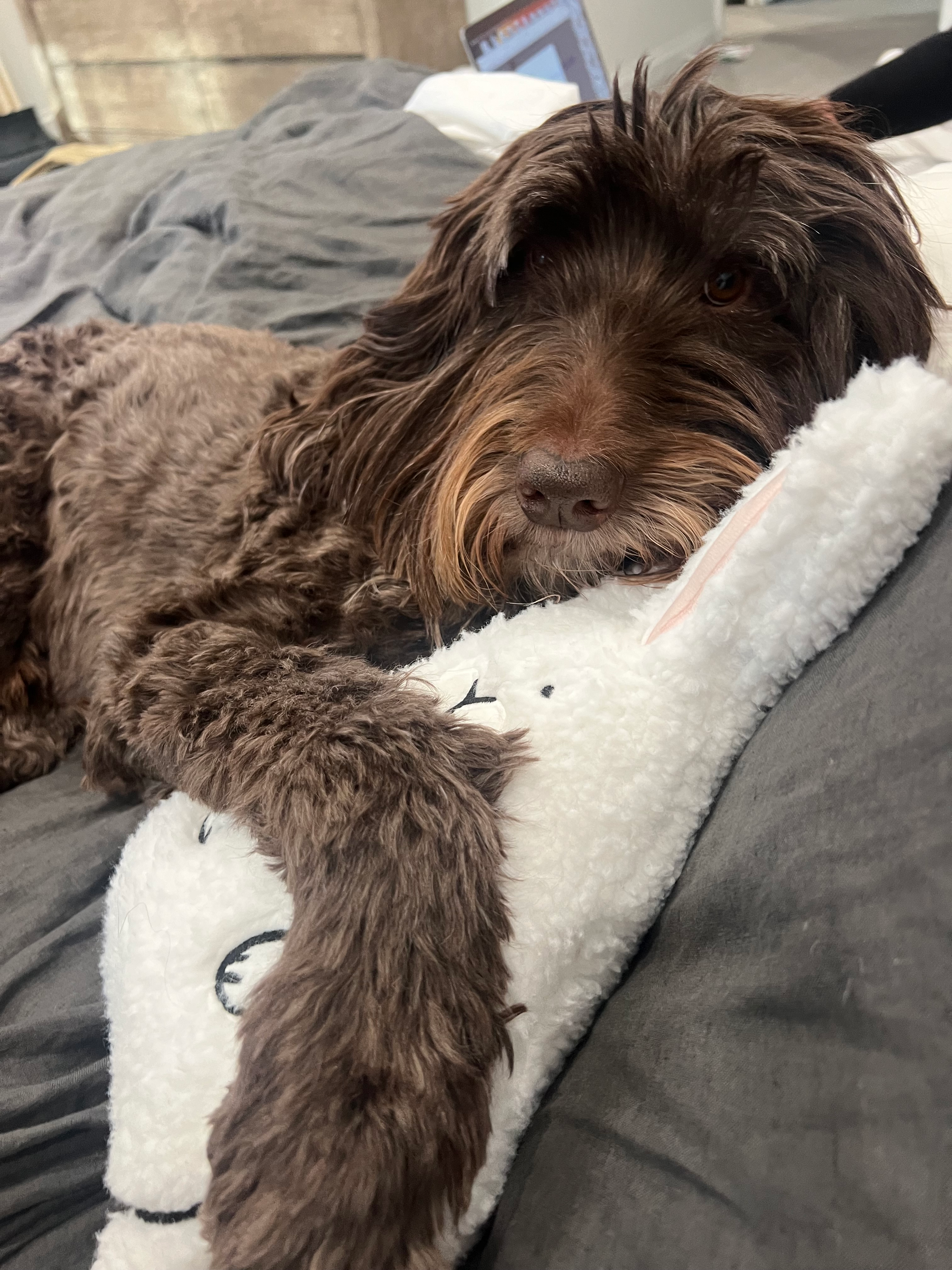 user avatar image for kristinalou