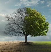 user avatar image for Alex Shideler