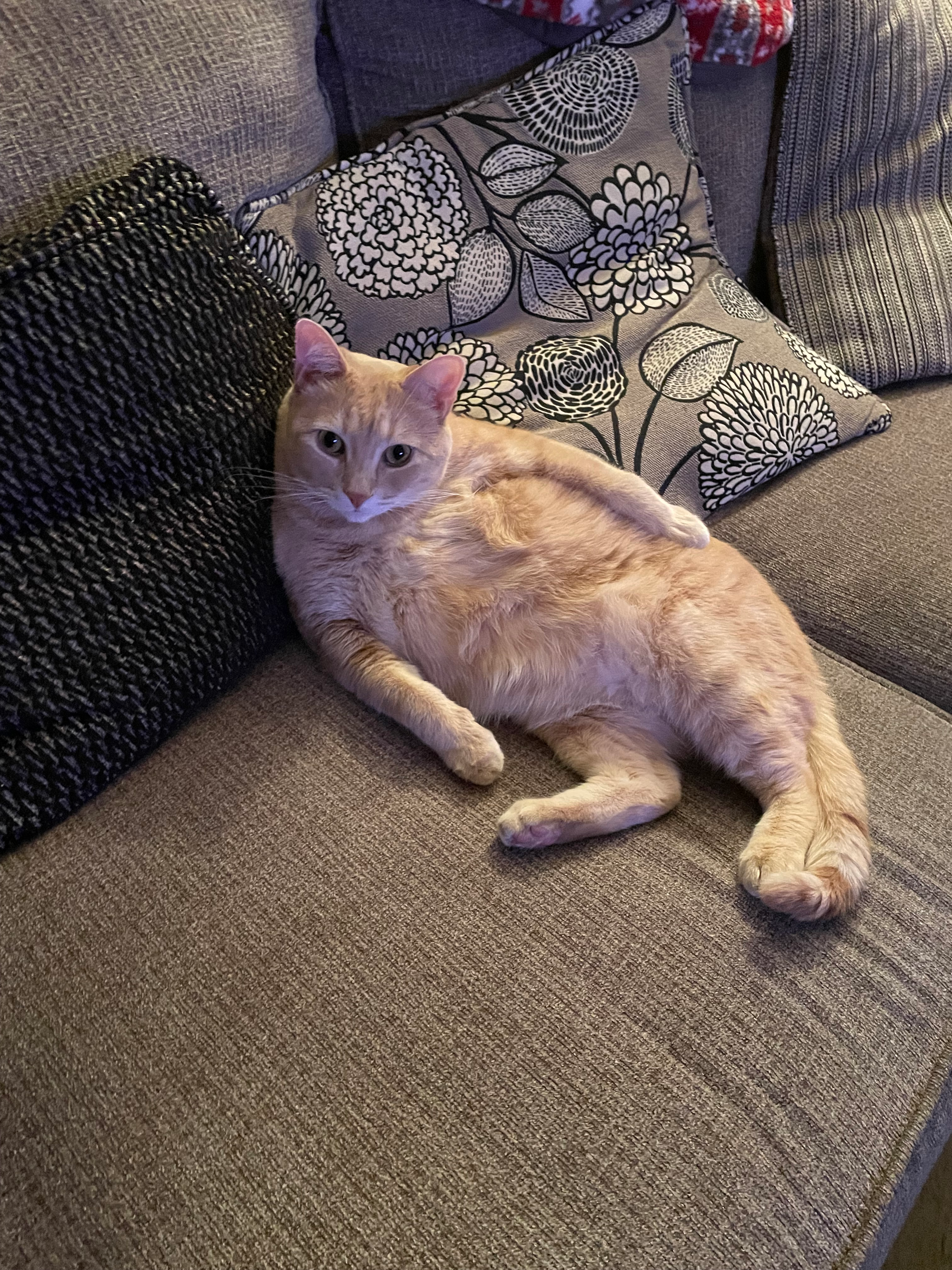 user avatar image for Andrew Binns